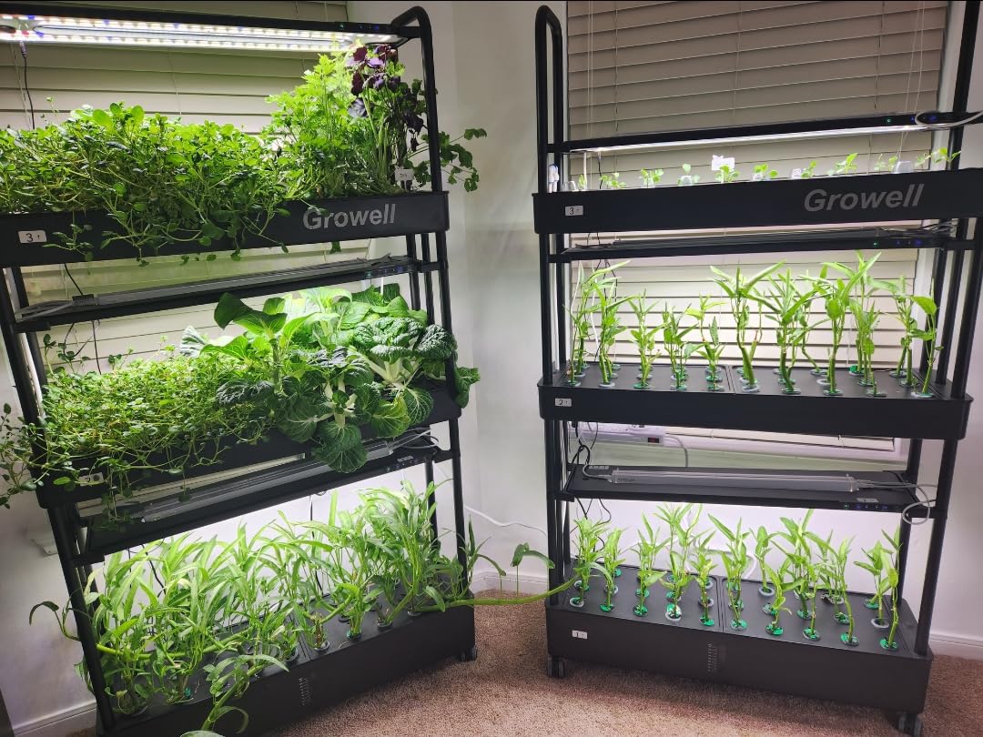 Large Hydroponics Growing System Kit, 120 Pods Vertical Hydroponic Garden with 2 Light Modes Grow Light, Auto Circulating Water System, 48L Indoor Gardening System for Herb Vegetable Fruit customer photo 1