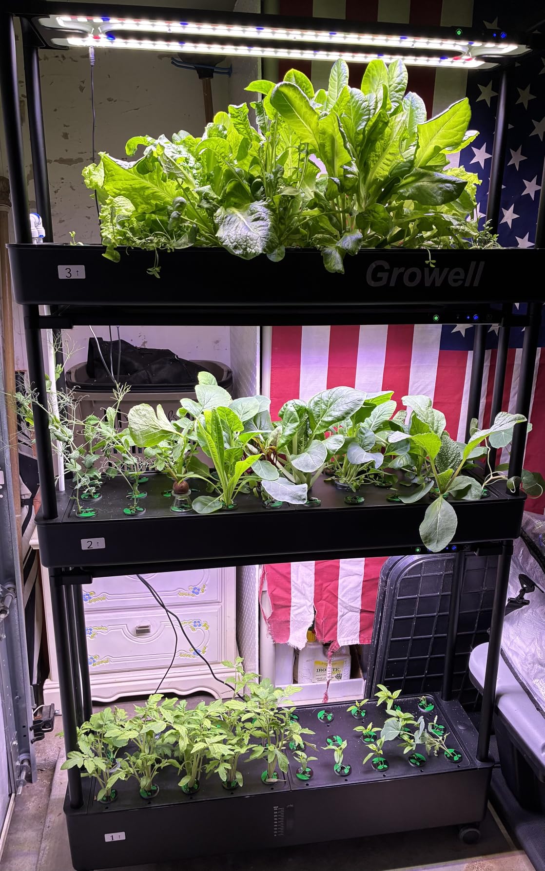 Large Hydroponics Growing System Kit, 120 Pods Vertical Hydroponic Garden with 2 Light Modes Grow Light, Auto Circulating Water System, 48L Indoor Gardening System for Herb Vegetable Fruit customer photo 2