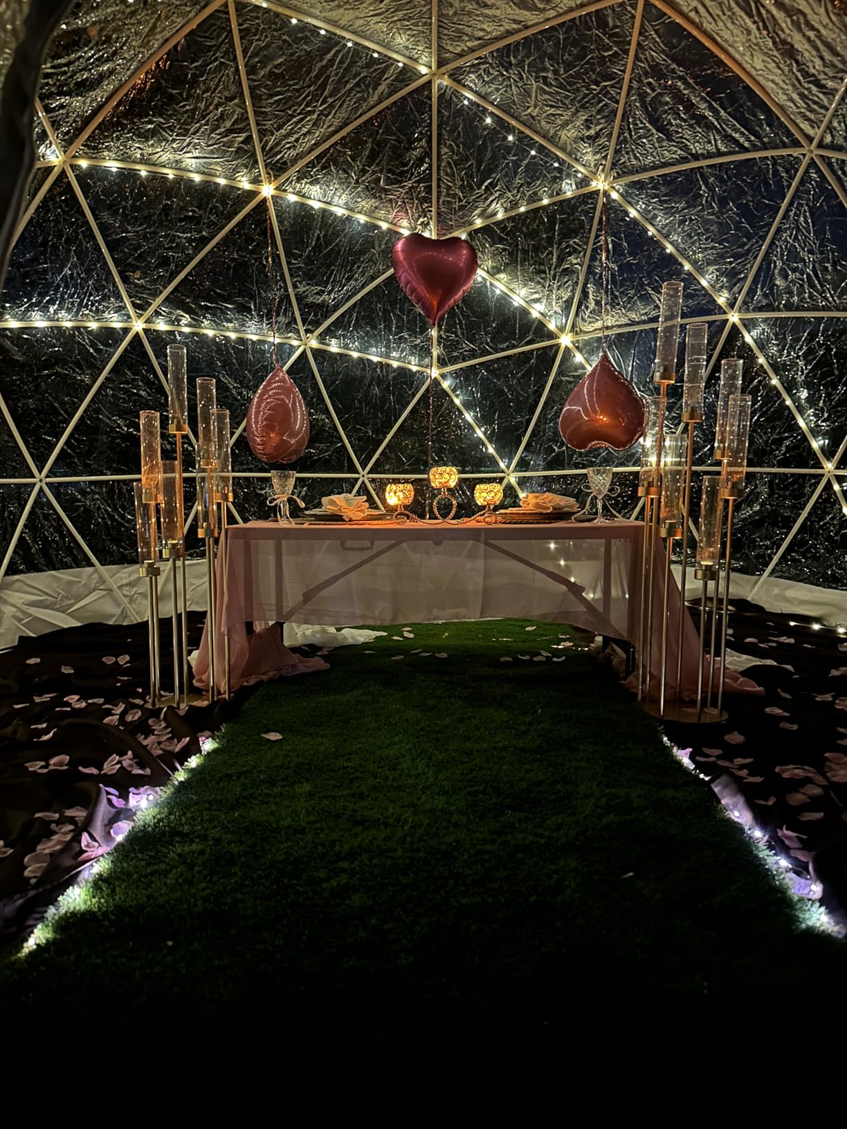 Garden Dome Bubble Tent House Outdoor, Upgraded Geodesic Dome Greenhouse with Transparent PVC Cover, Weatherproof Greenhouse Suitable for Patio (WHITE-12FT) customer photo 1