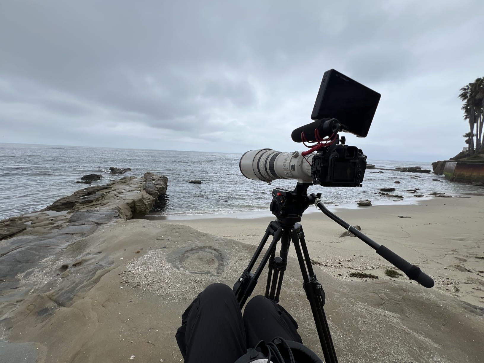 Manfrotto 055 Video Tripod w/502 Video Fluid Head, Aluminium, Professional Heavy Duty System, with Levelling Column, Lever Lock, Camera Tripod Stand, for DSLR/Mirrorless Cameras, Camcorders customer photo 1