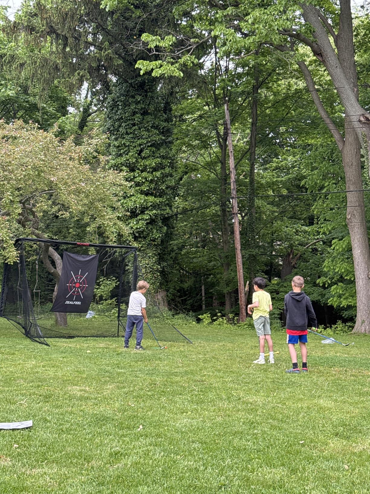 Golf Net, 10x7ft/8x8ft Golf Enclosure Net with Side Barriers/Auto-Ball Return, Low-Noise Target, Carry Bag, 4 Stakes customer photo 1