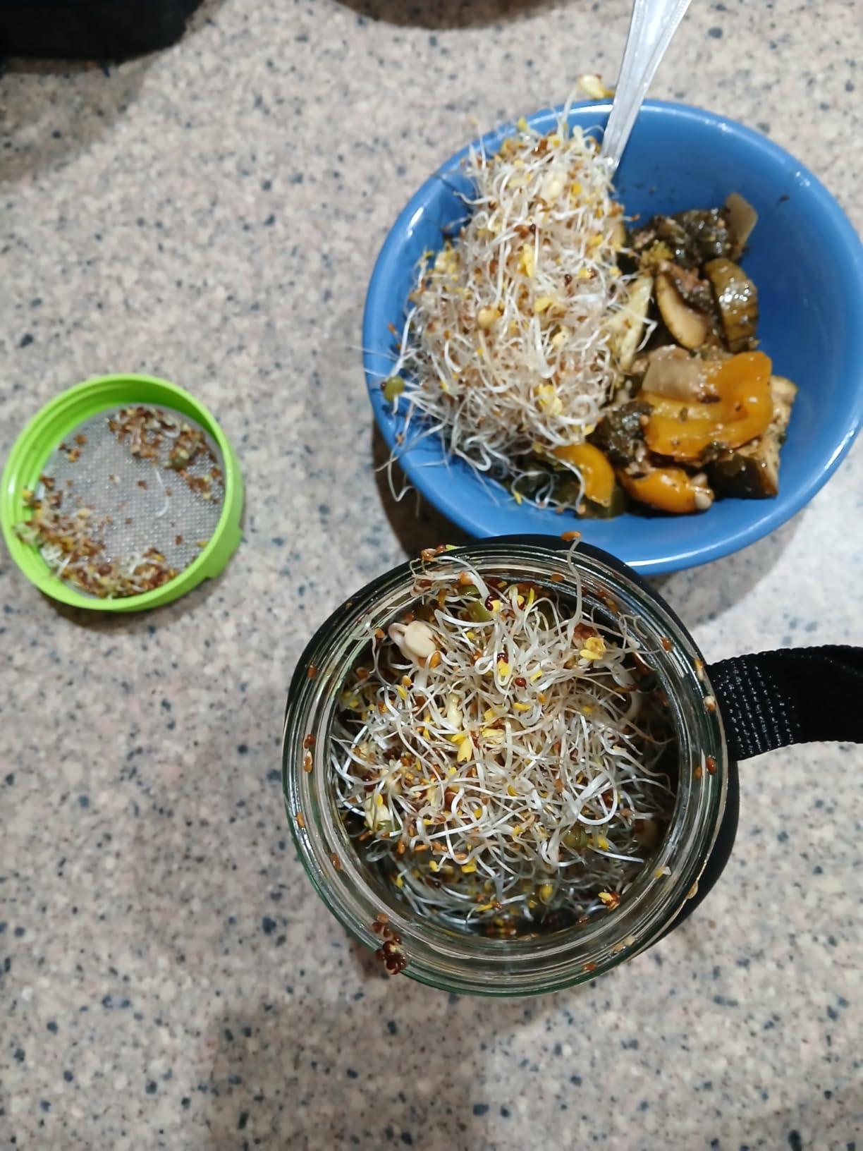 Lulonpon Sprouting Kit, 4 Sprouting Jar Kits, Wide Mouth Quart Mason Jars with Stainless Steel Screen Sprout Lids, 1000ml Sprouts Growing Kit, Seed Sprouter Set for Growing Broccoli, Bean, Alfalfa customer photo 2
