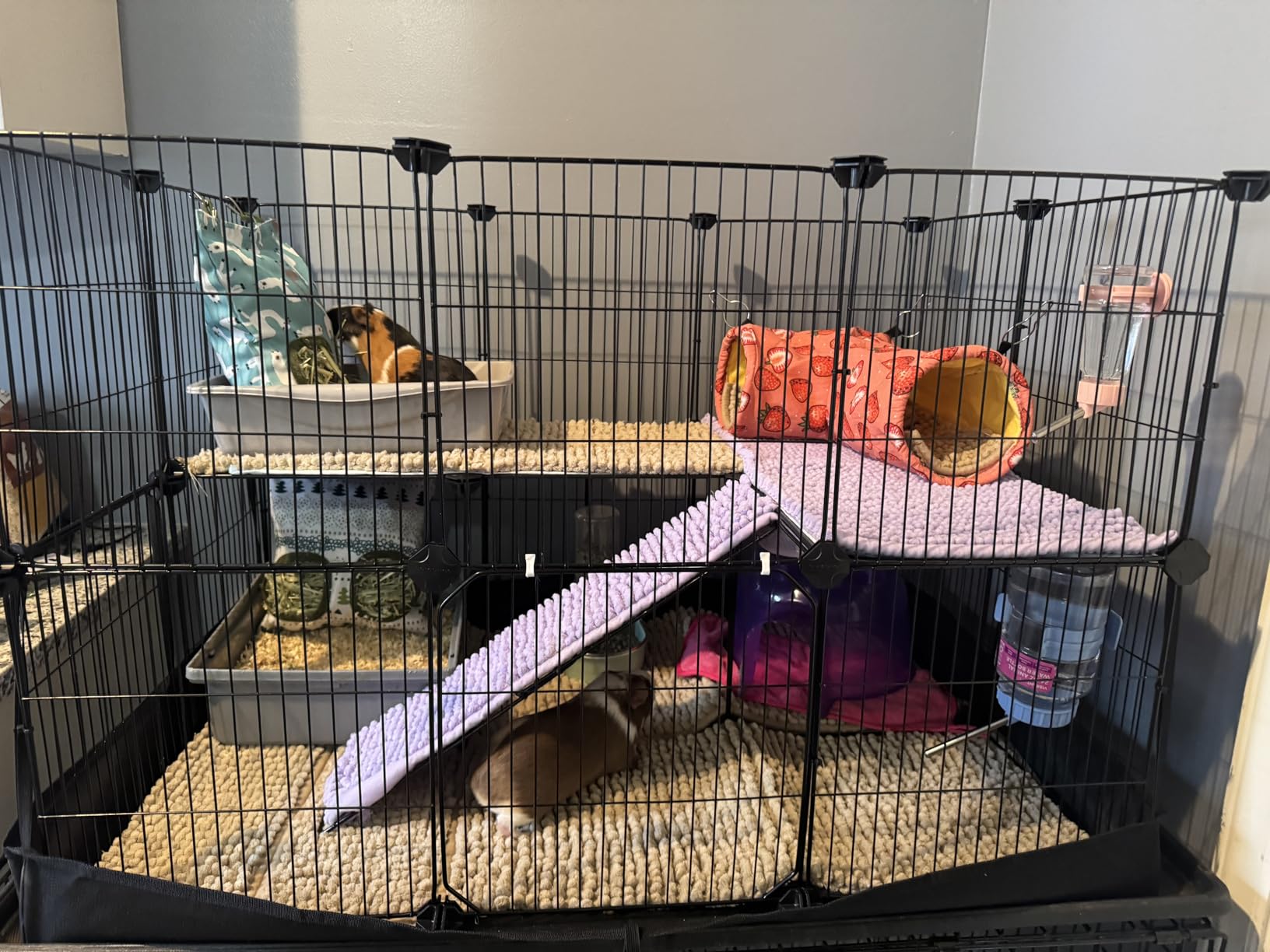 UPINS 3 Hay Bag for Rabbits 2-Hole Hanging Hay Feeder Guinea Pig Hay Bags, Hay Feeder for Rabbits Chinchillas Hamsters Small Pets and Animals (Fruit Pattern) customer photo 2