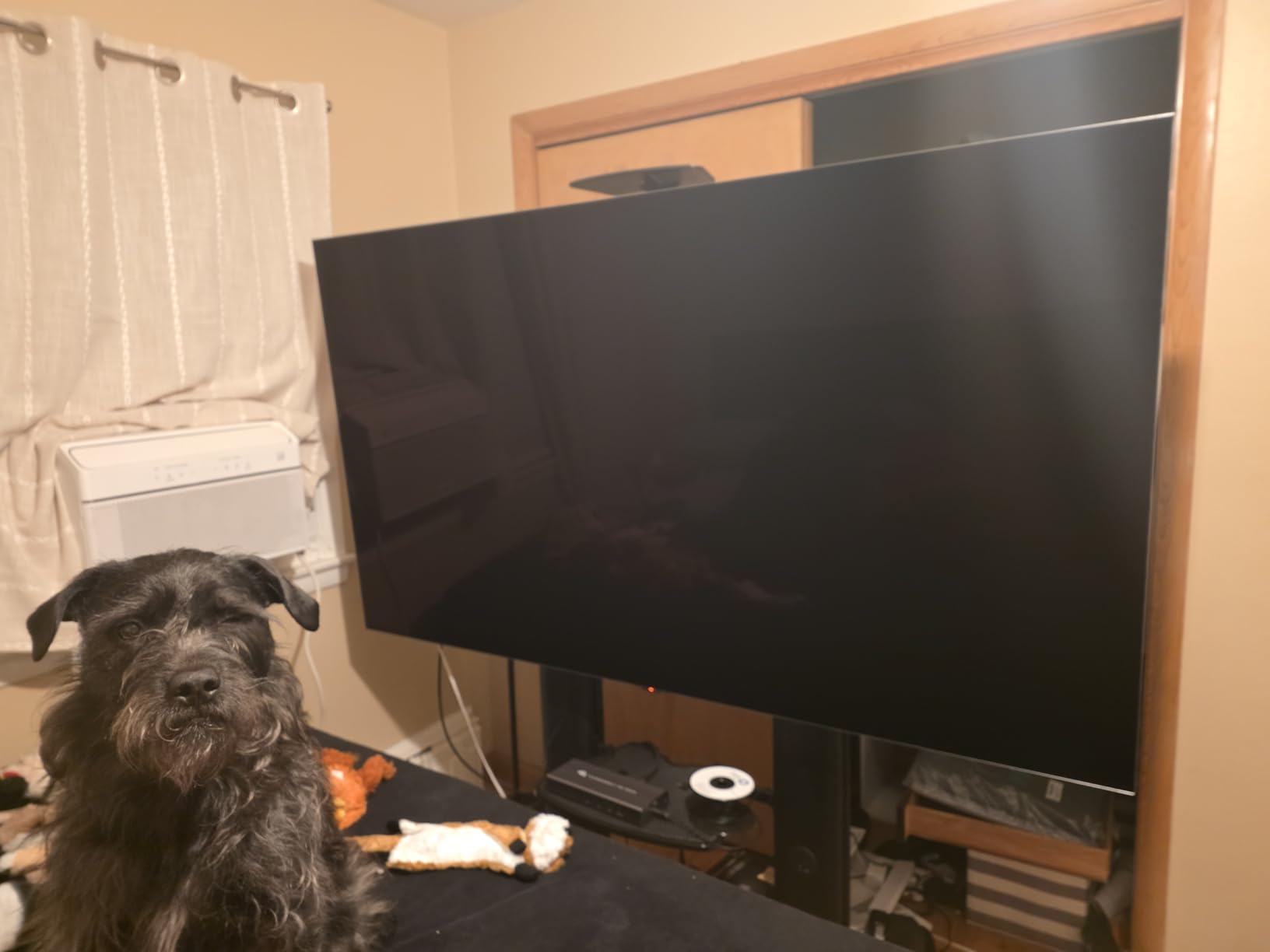 LG 55-Inch Class OLED evo AI Super Upscaling 4K G5 Series Smart TV w/Dolby Atmos & Vision, HDR10, Filmmaker Mode, Wow Orchestra, Alexa Built-in (OLED55G5WUA, 2025) customer photo 2