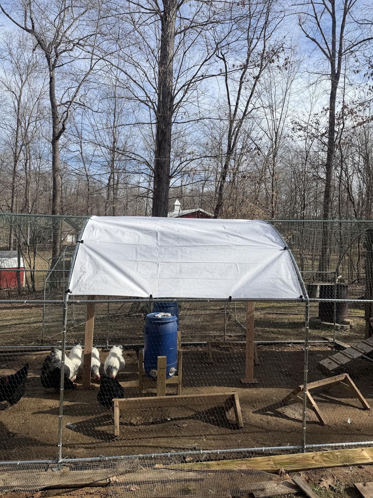 VEVOR Metal Chicken Coop, 6.56x6.56x6.56ft Large Walk-in Chicken Runs with Cover, Spire Roof Hen House Enclosure with Security Lock, Outdoor Duck Rabbit Cage Poultry Pen for Backyard, Farm, Yard customer photo 2