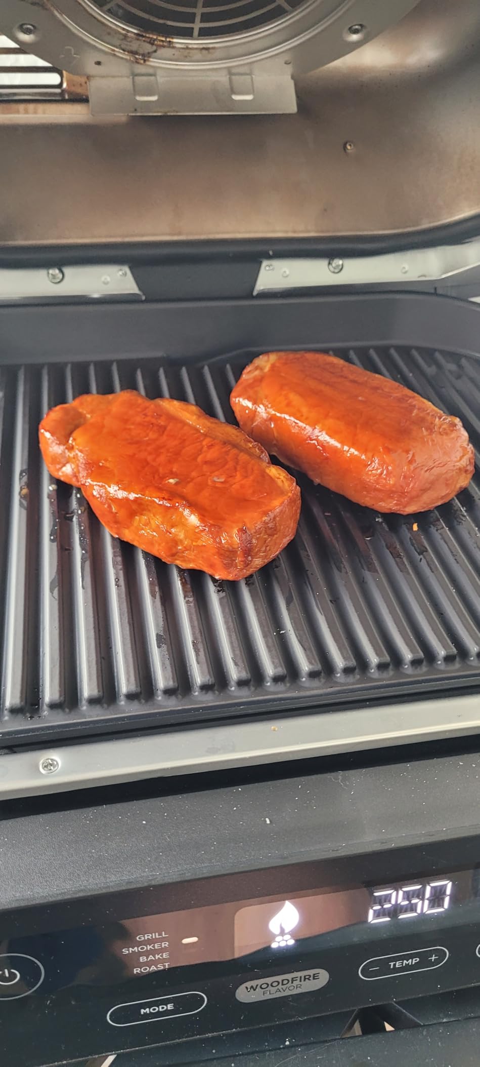 Woodfire Outdoor Grill & Smoker, 4-in-1 Functionality, Grill, Smoke, Bake, Roast, Authentic Woodfire Flavors, Electric Heat, OG301 customer photo 1