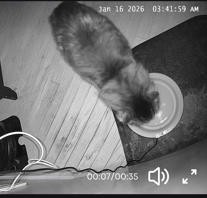eufy Security 4K Indoor Camera E30 - No Subscription, 360 Degree Pan Tilt, AI Auto Tracking, Color Night Vision, Pet/Baby/Nanny Camera with Two-Way Audio, AI Human/Pet Detection, Works with HomeKit (2-Pack) customer photo 2