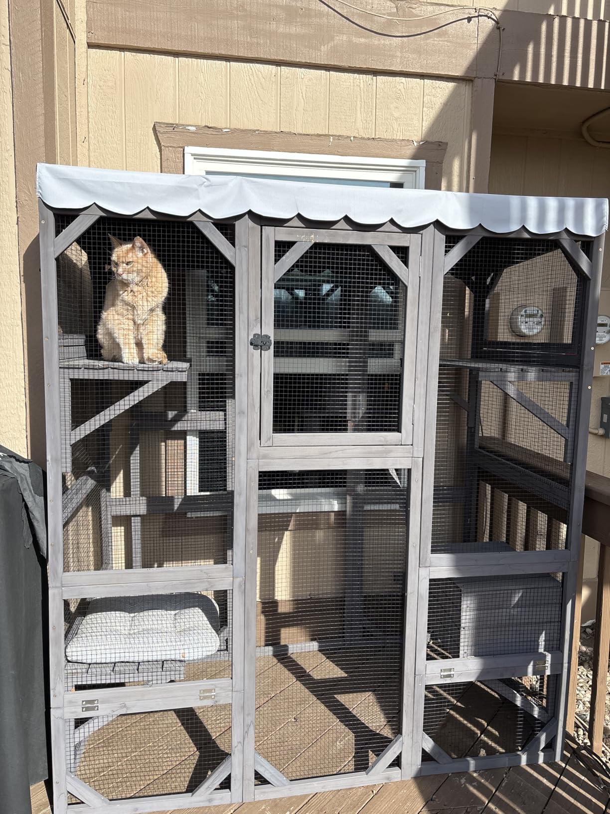 Large Catio Outdoor Cat Enclosure with Condos, Wood Catio Walk in Cat House, Kitty Shelter Indoor with Waterproof Roof customer photo 1