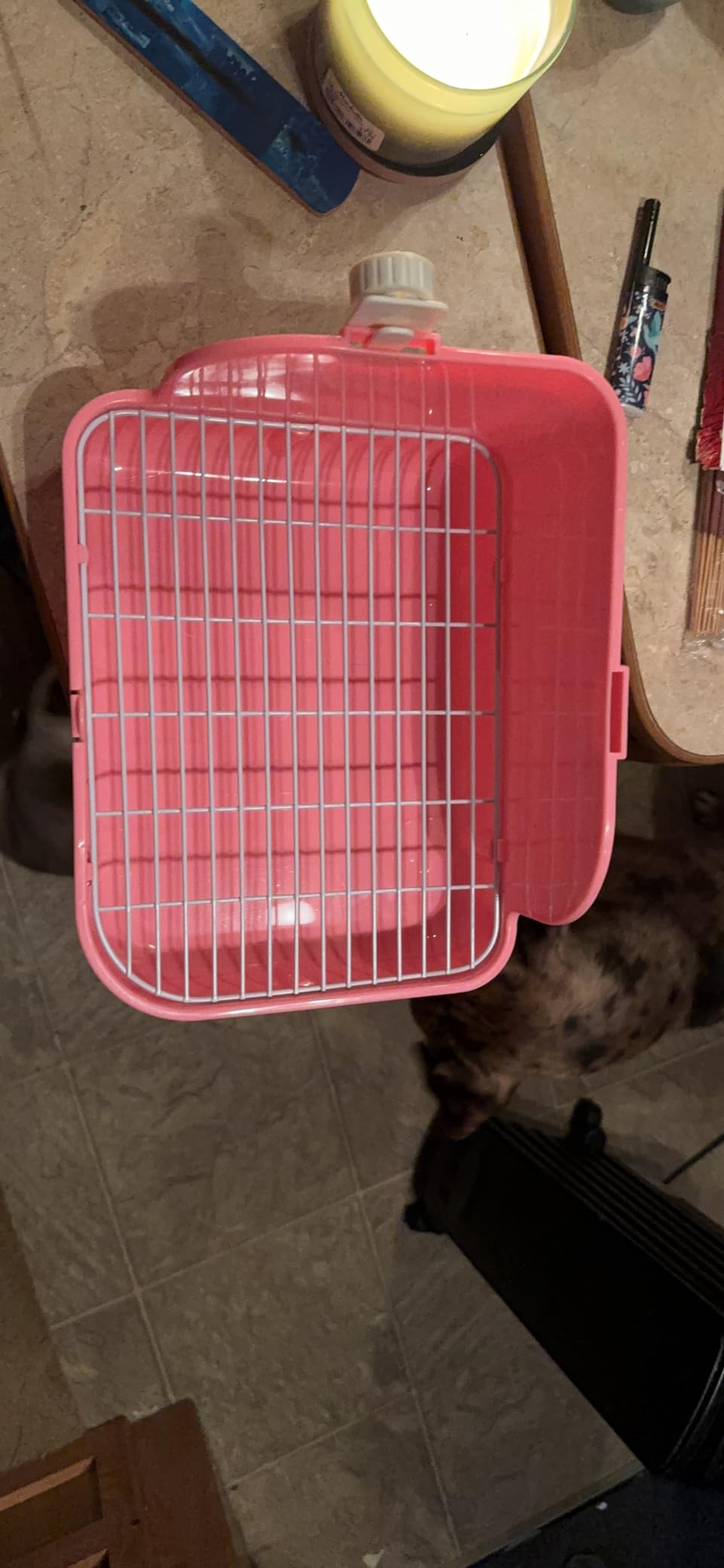 Rabbit Litter Box, Bunny Litter Box, Guinea Pig Potty Trained, Square Small Animal Toilet Potty Pan for Rabbit Guinea Pig Ferret Hamster Chinchilla (Grass Green) customer photo 2