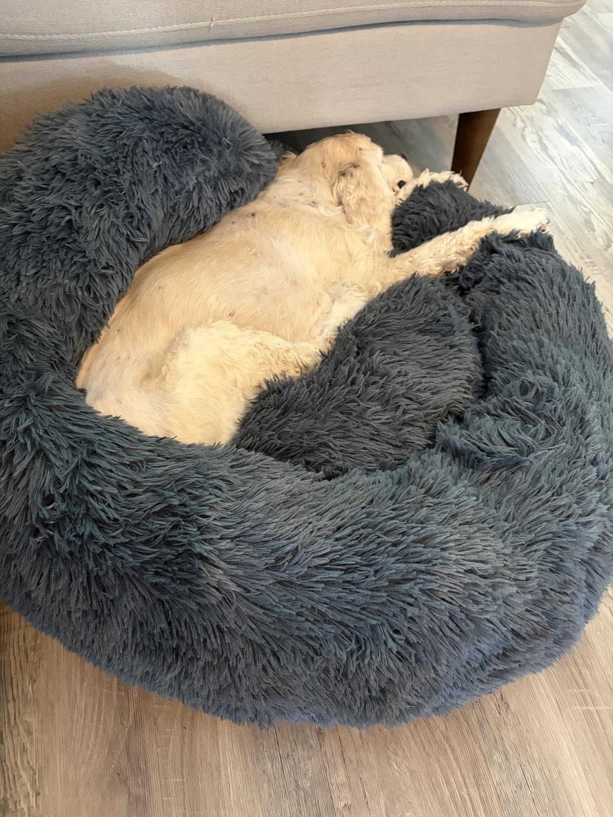 PetJett Calming Dog Bed Medium Size Dog - 30'' Donut Bed, Round Dog Bed, Anti-Slip & Washable Super Soft Fluffy Plush Round Bed, Anti-Anxiety Premium Comfort Pet Bed, Fits Dogs upto 45 lbs - Dark Grey customer photo 1