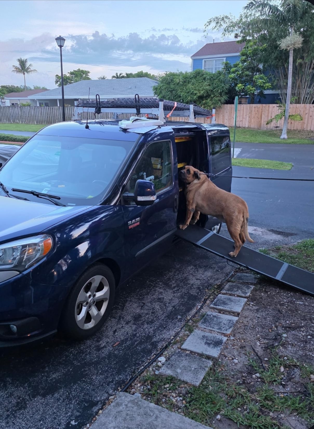 74'' L & 20'' W Longest Dog Ramp for Car - Extra Wide Portable Pet Dog Ramps for Large Dogs, Dogs Cars Ramp for Car SUV/Truck/RV/Bed, Lightweight Ramps with Non-Slip Mesh Up to 250LBS, Black customer photo 2