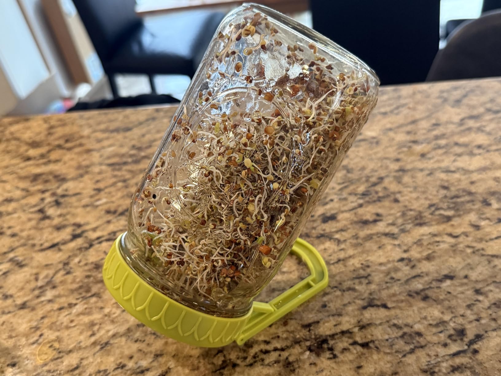 Sprouting Kit for Wide Mouth Mason Jars, 2-Pack BPA-Free One-Piece Sprouting Lids with Built-In Stand, Seed Germination Jar Sprouter Lid customer photo 1