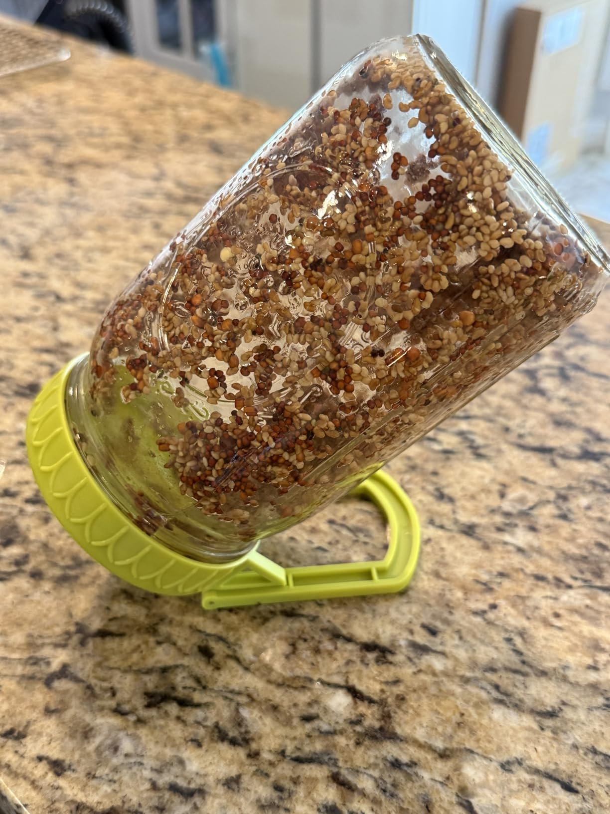Sprouting Kit for Wide Mouth Mason Jars, 2-Pack BPA-Free One-Piece Sprouting Lids with Built-In Stand, Seed Germination Jar Sprouter Lid customer photo 2