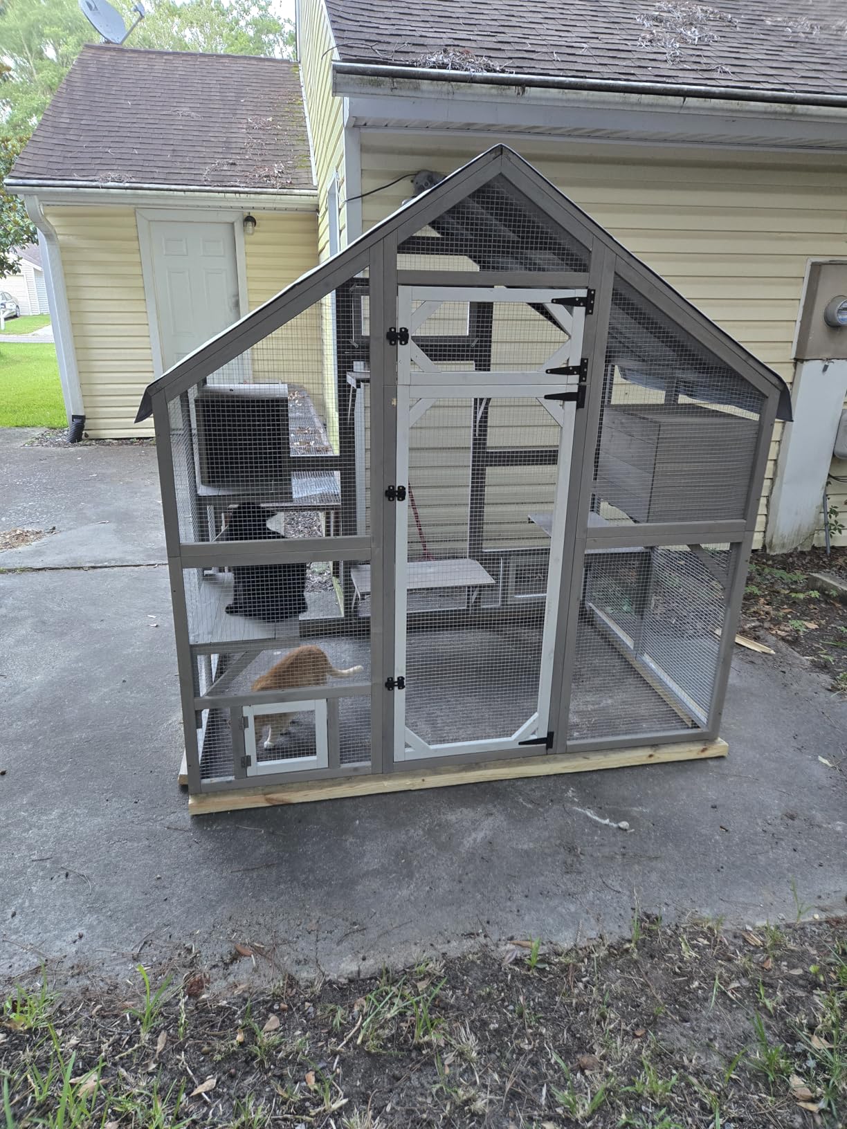 PetsCosset Large Cat Catio for Multiple Cats Outdoor Cat Patio Enclosures Wooden Walk in Cats House Outside Shelter Kitty Kennel Weatherproof Roof,Attached to House's Window Cat's Door and Tunnel customer photo 2