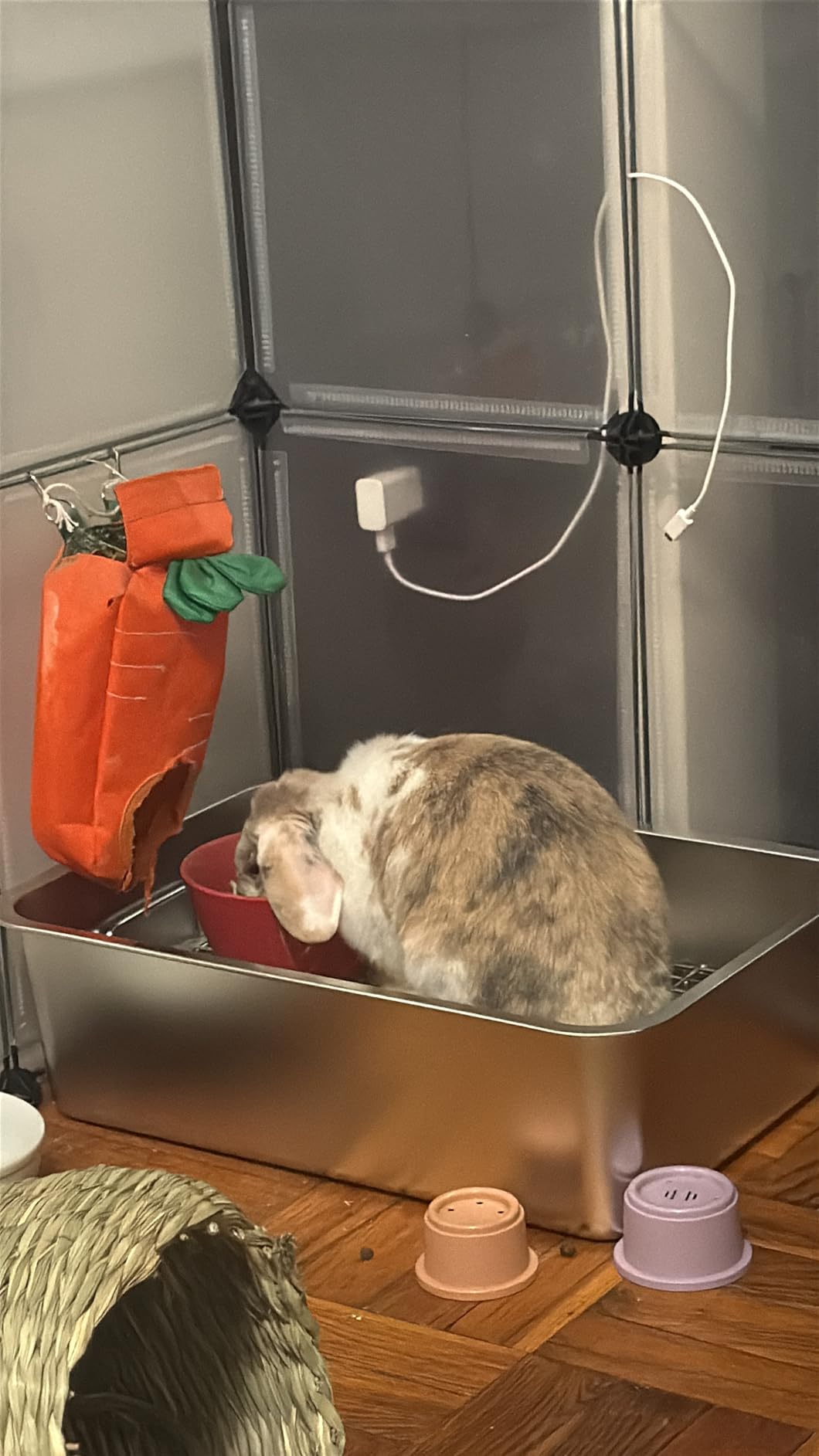 MEEXPAWS Rabbit Litter Box Stainless Steel, Large Bunny Litter Box with Raised Grid and Washable Pee Pad, Metal Litter Pan High Side for Rabbit, Small Animal Toilet Potty Tray Easy Cleaning, Less Stink customer photo 1