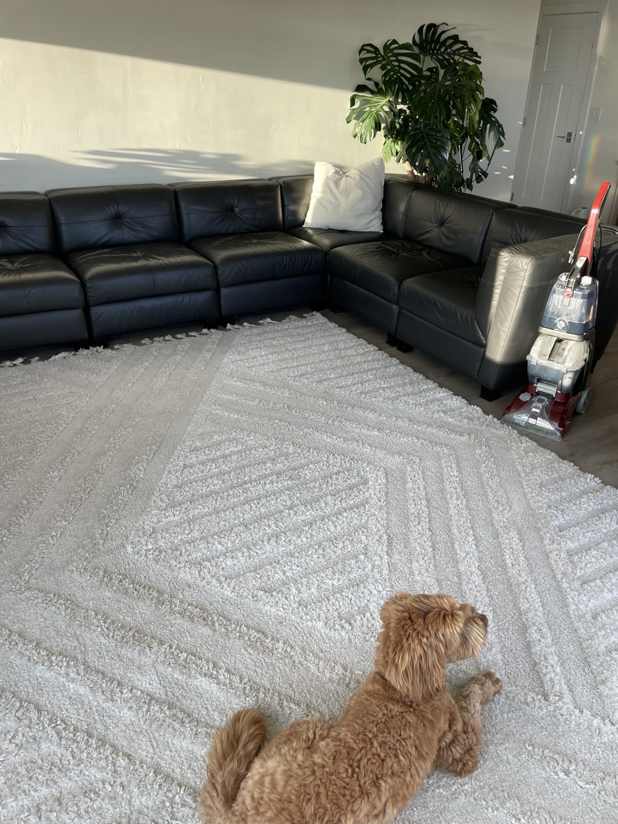 Hoover PowerScrub XL Pet Carpet Cleaner Machine for Carpet and Upholstery, Deep Cleaning Carpet Shampooer Machine with Multi-Purpose Tools, Powerful Suction, Pair with Hoover Cleaner Solution customer photo 1