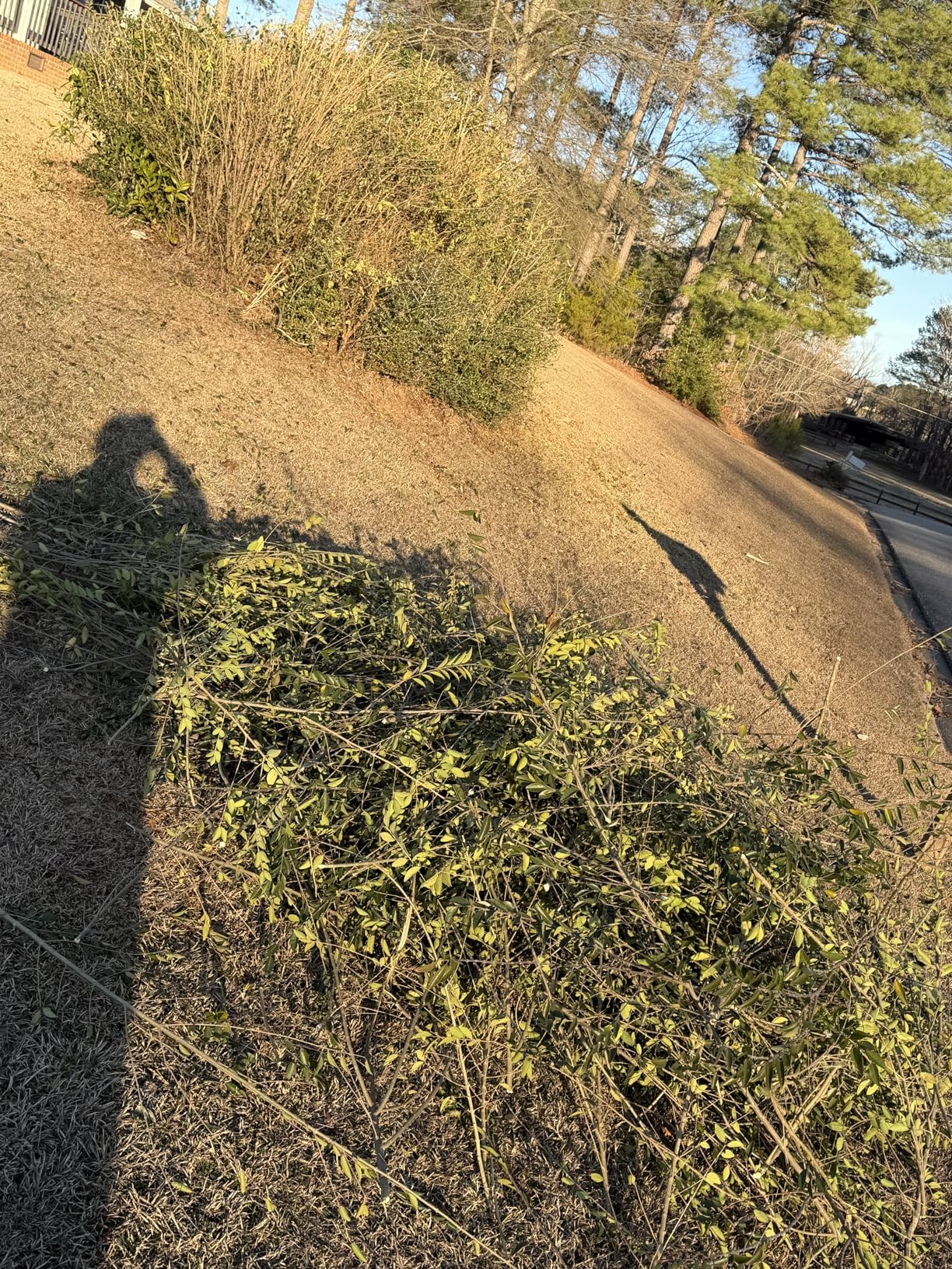 Greenworks 24V 24