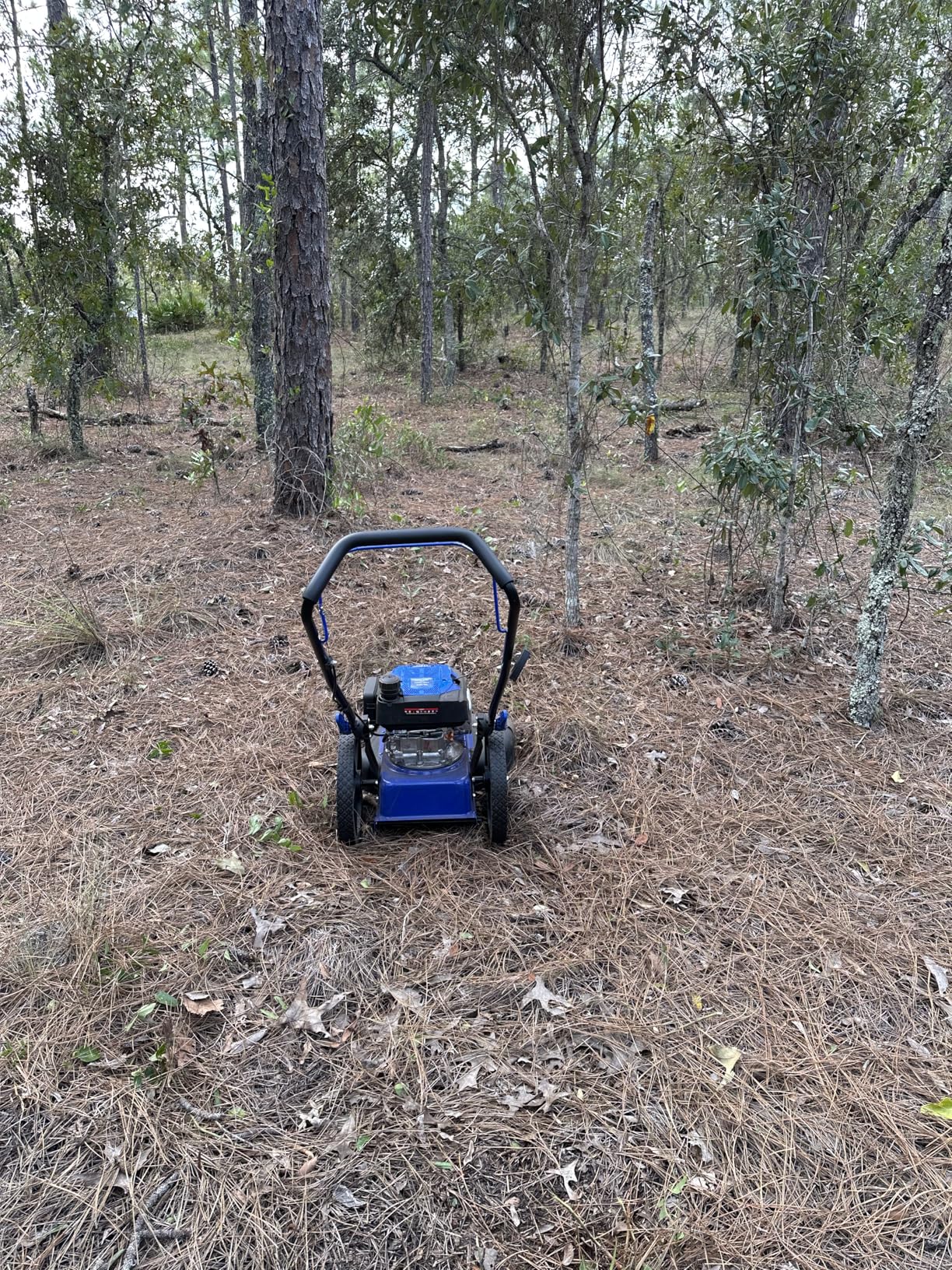 BILT HARD Self-Propelled Walk Behind String Trimmer, 8-Position Cutting Height, 170cc 4-Cycle Gas Brush Hog Mower, 22'' Cutting Diameter, 10'' Flat Free Wheels, Brush Cutter for Lawn, Yard customer photo 2