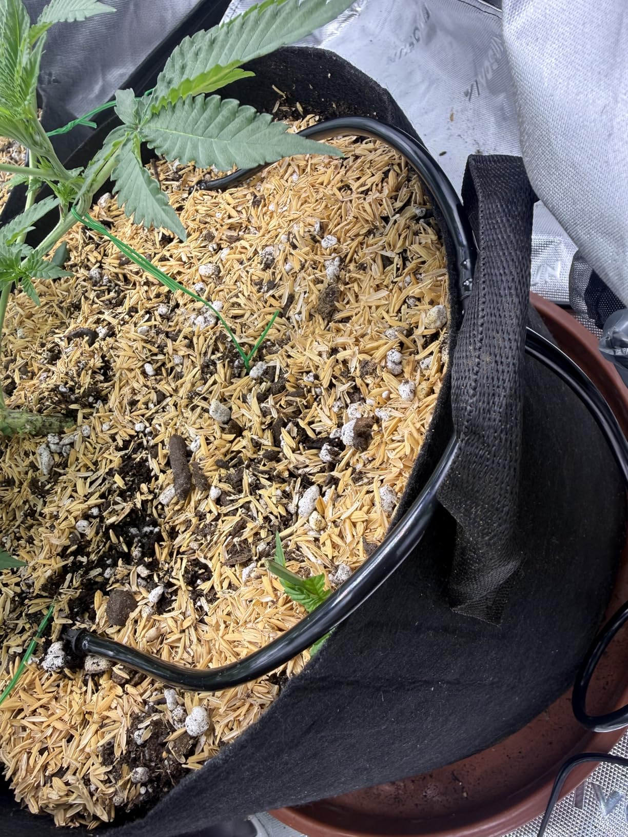 VIVOSUN Automatic Drip Irrigation Kit, Smart Watering System with 16 Drip Emitters, App-Controlled A10 GrowHub customer photo 1