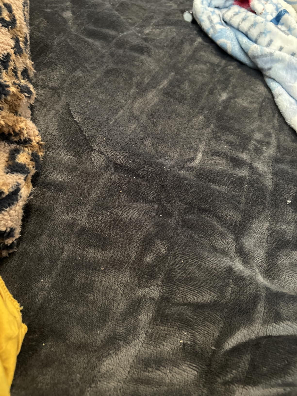 Electric Heated Blanket Full Size - 72