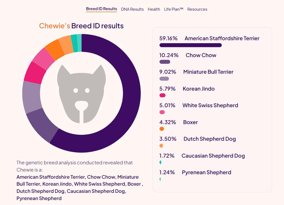 ORIVET GenoPet Plus Dog DNA Test Kit | 365+ Breed Identification & 330+ Genetic Health Conditions Included | Personalised Life Plan | At-Home Cheek Swab | Results in Approximately 3-5 Weeks customer photo 1