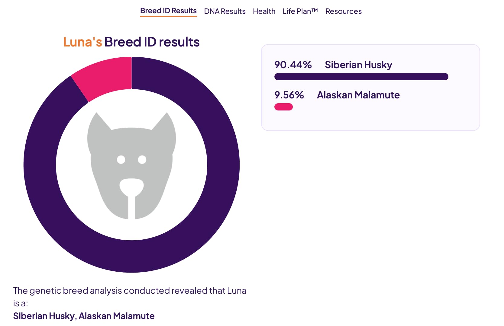 ORIVET GenoPet Plus Dog DNA Test Kit | 365+ Breed Identification & 330+ Genetic Health Conditions Included | Personalised Life Plan | At-Home Cheek Swab | Results in Approximately 3-5 Weeks customer photo 2