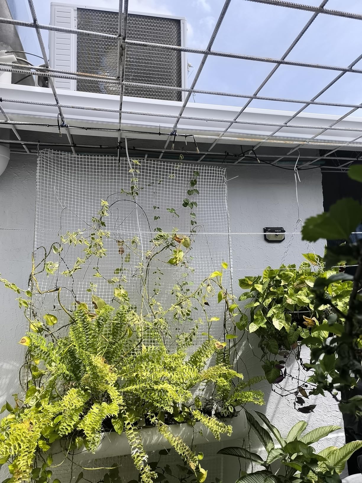 MIXC 200Ft 1/4