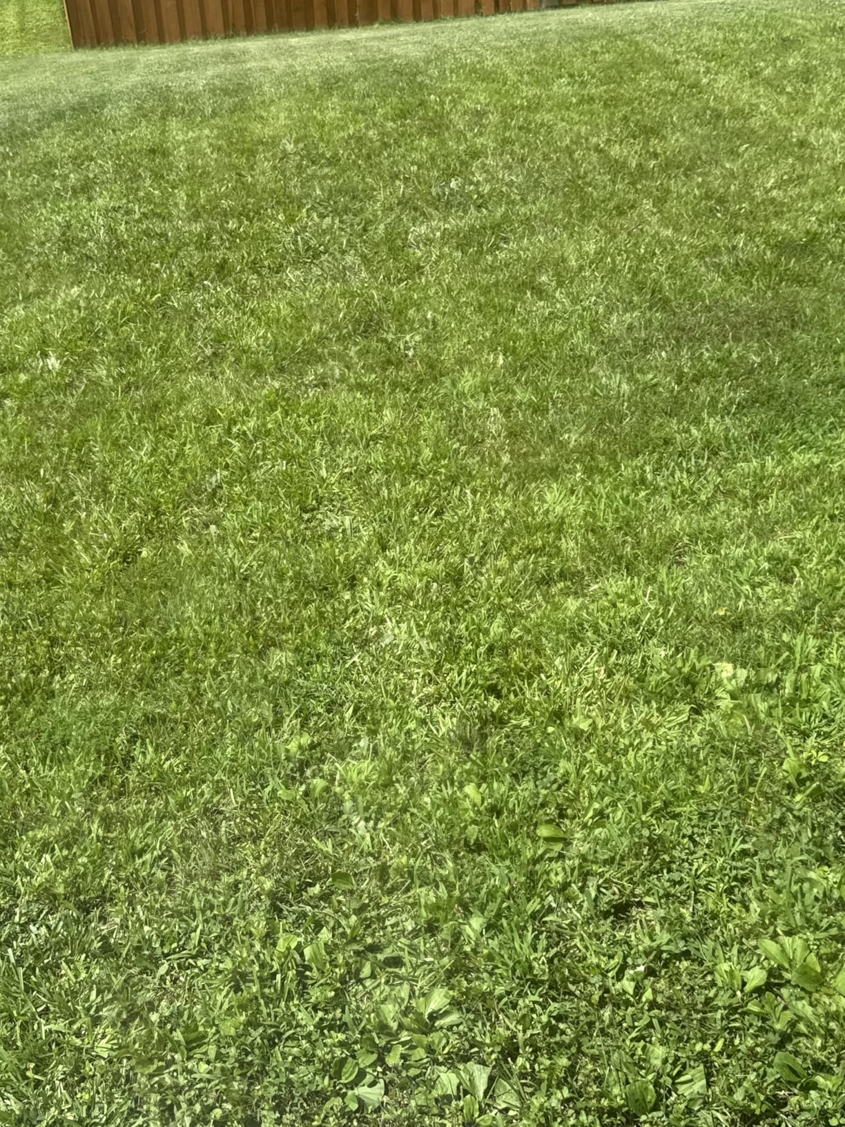SENIX Gas Lawn Mower, 22