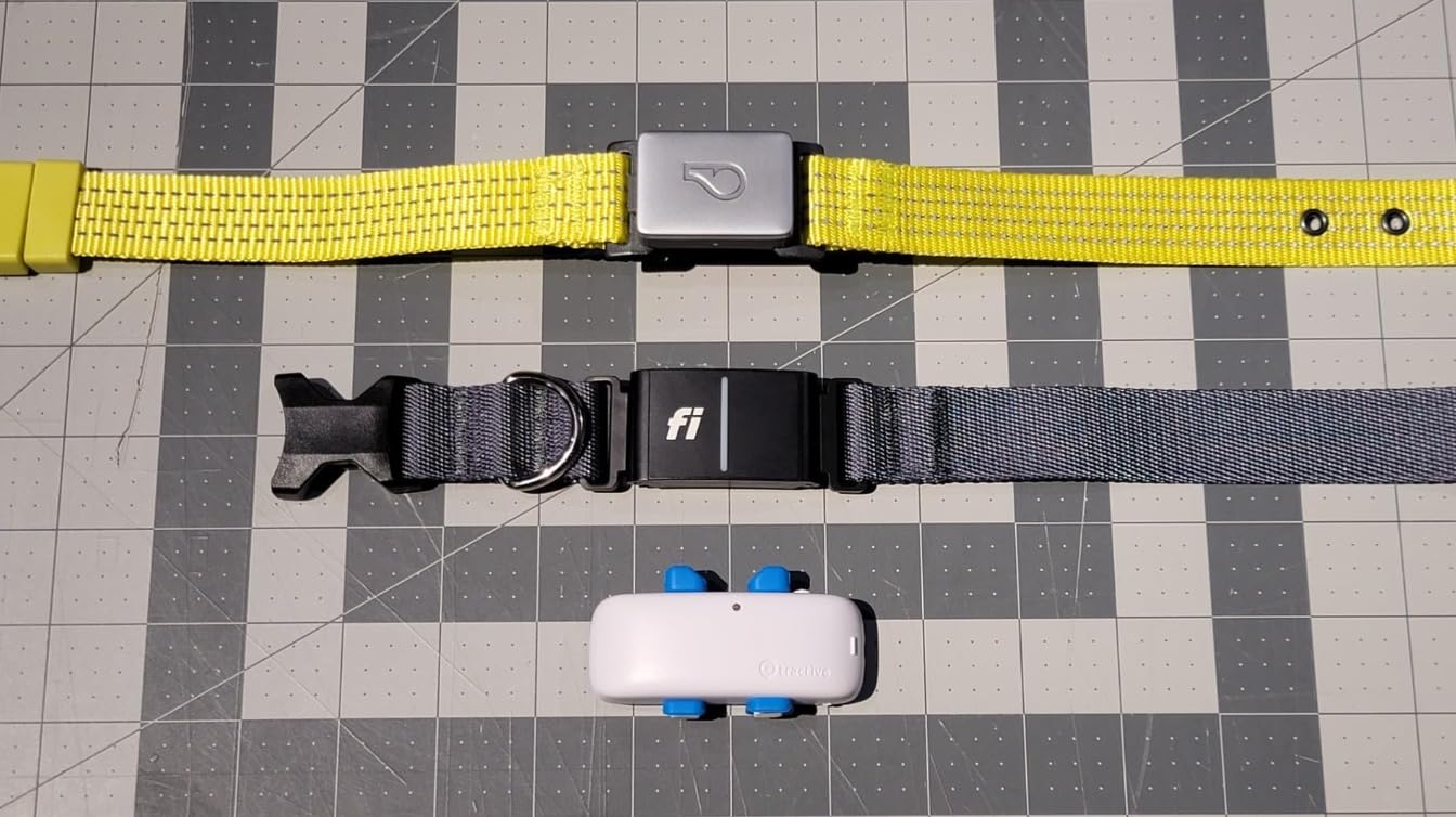 New Fi Series 3+ Smart Dog Tracker Collar [12 Month Membership Included] GPS Tracker for Dogs with Health & Behavior Monitoring, Escape Alerts, Waterproof, LED, Apple Watch Compatible (Blue, Large) customer photo 1