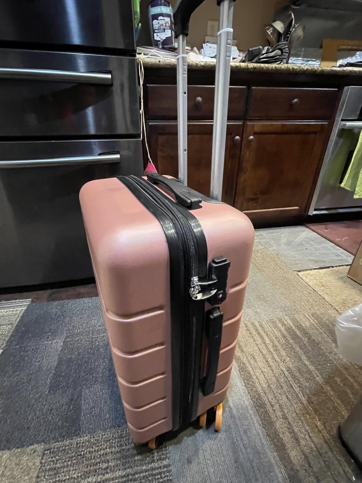 Sweetcrispy 20 Inch Carry On Luggage, Suitcase with Spinner Wheels customer photo 1