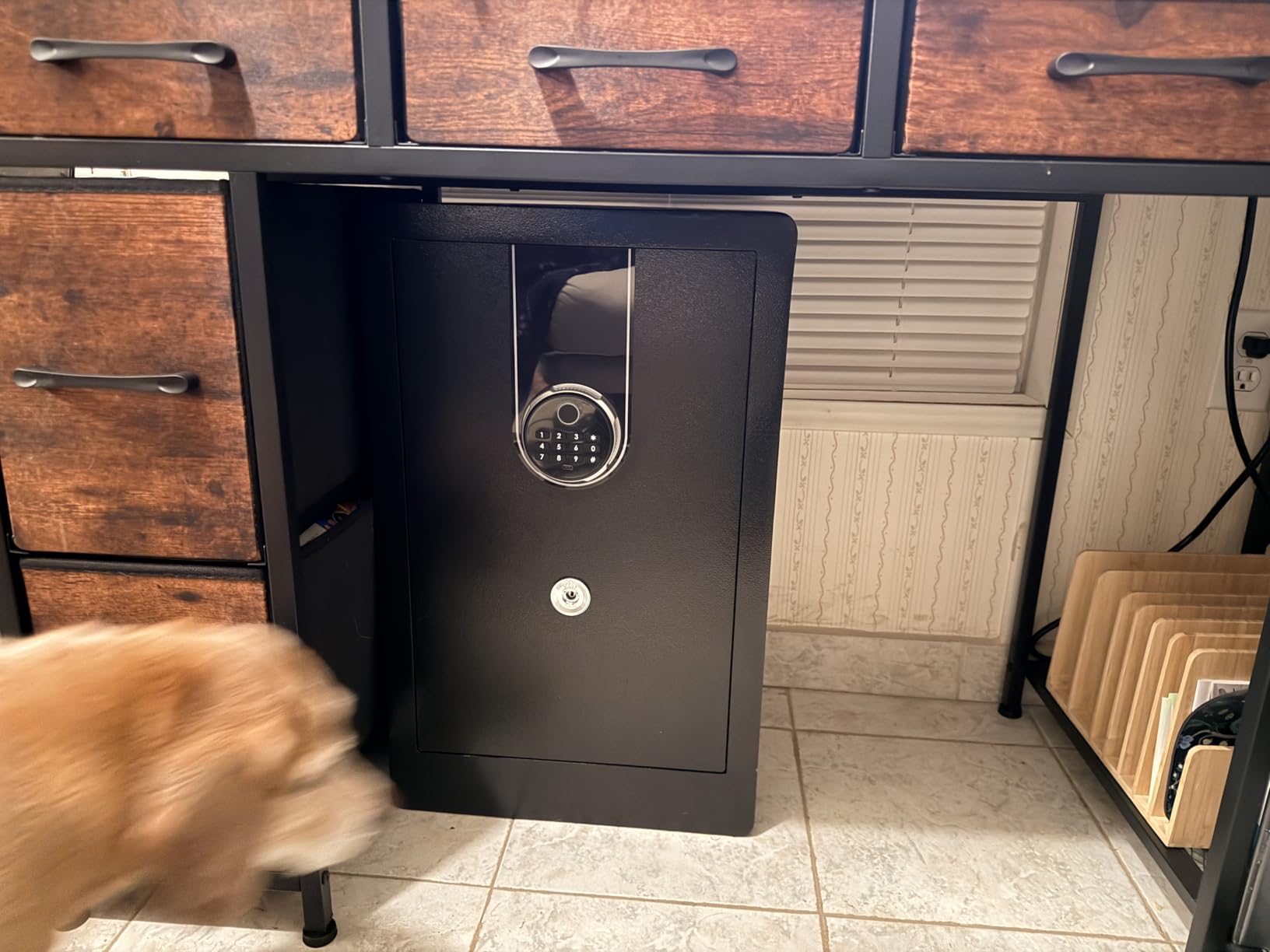 7.8 Cu Ft Biometric Safe for Home Office, Large Heavy Duty Safe Box with Fingerprint & Keypad, Document Safe with Hidden Compartment, Anti-Theft Alarm, Fireproof Bag customer photo 1