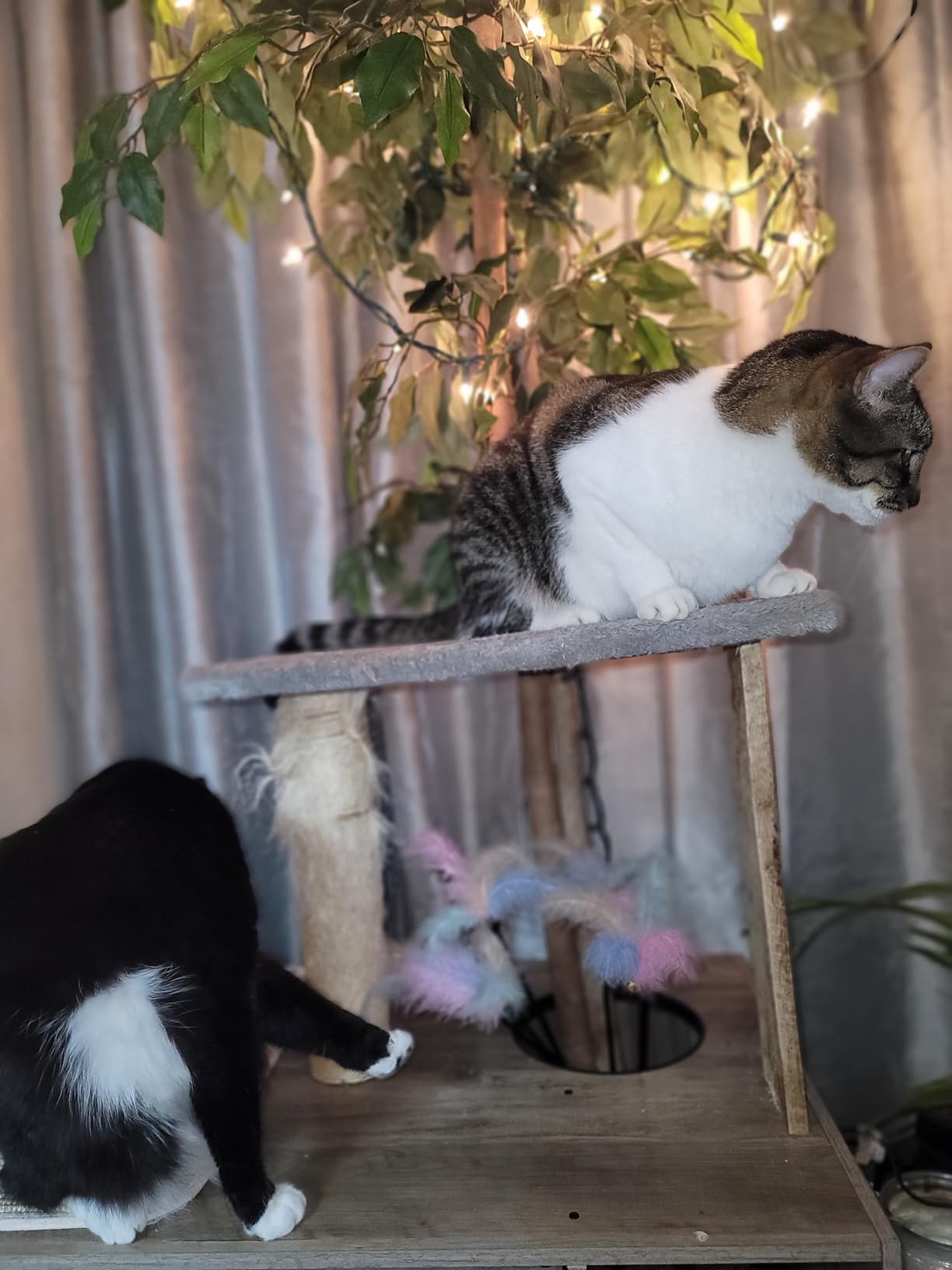 Erinnyees Cat Tree, Floor to Ceiling Cat Tree Height (86-105 in) Adjustable Cat Tower 6 Tier Hemp Scratching Post Cats Activity Center Removable Washable Pads customer photo 1
