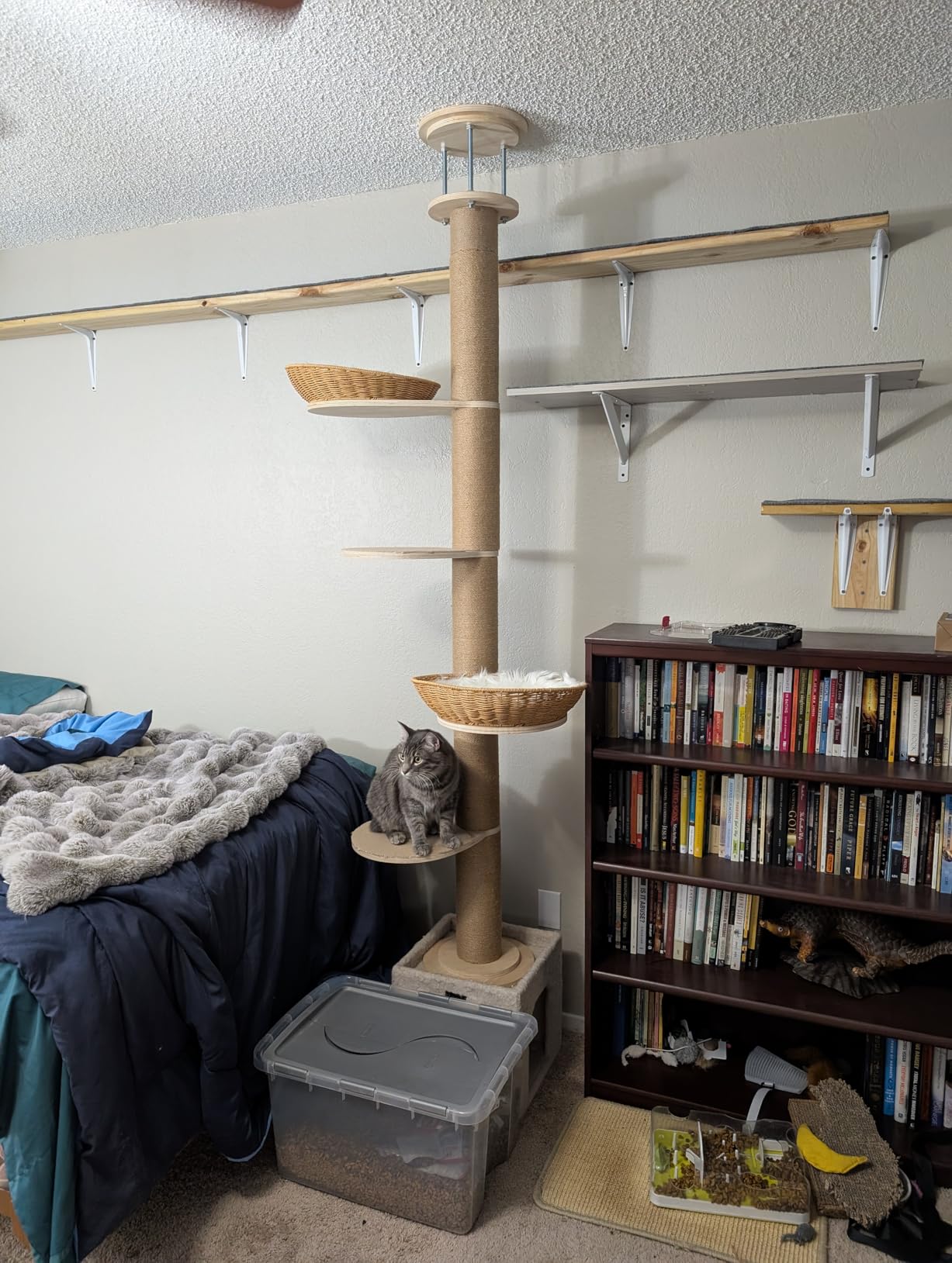Tinnmao Solid Real Wood Floor to Ceiling Cat Tree, 7 Level Adjustable Height (105