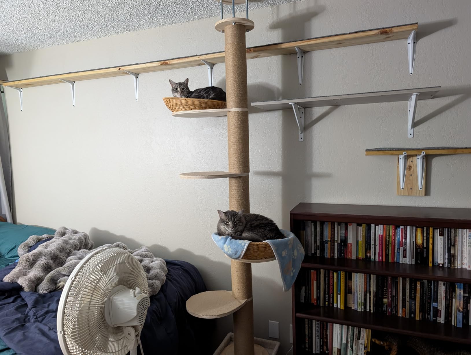 Tinnmao Solid Real Wood Floor to Ceiling Cat Tree, 7 Level Adjustable Height (105