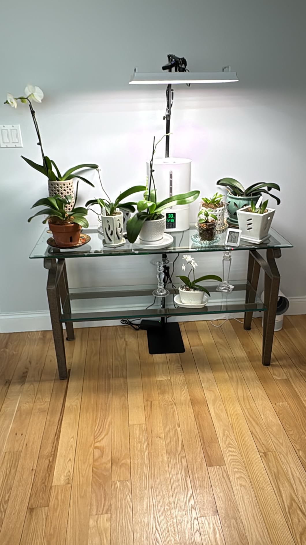 LETPOT 100 Watt (Max 120W Output) Grow Lights for Indoor Plants Full Spectrum, Smart APP, 8-Level Adjustable Light, Hanging & Standing, 270° Foldable, 360° Rotation, 2x3,3x4,18000 Lumens, High ppfd customer photo 1