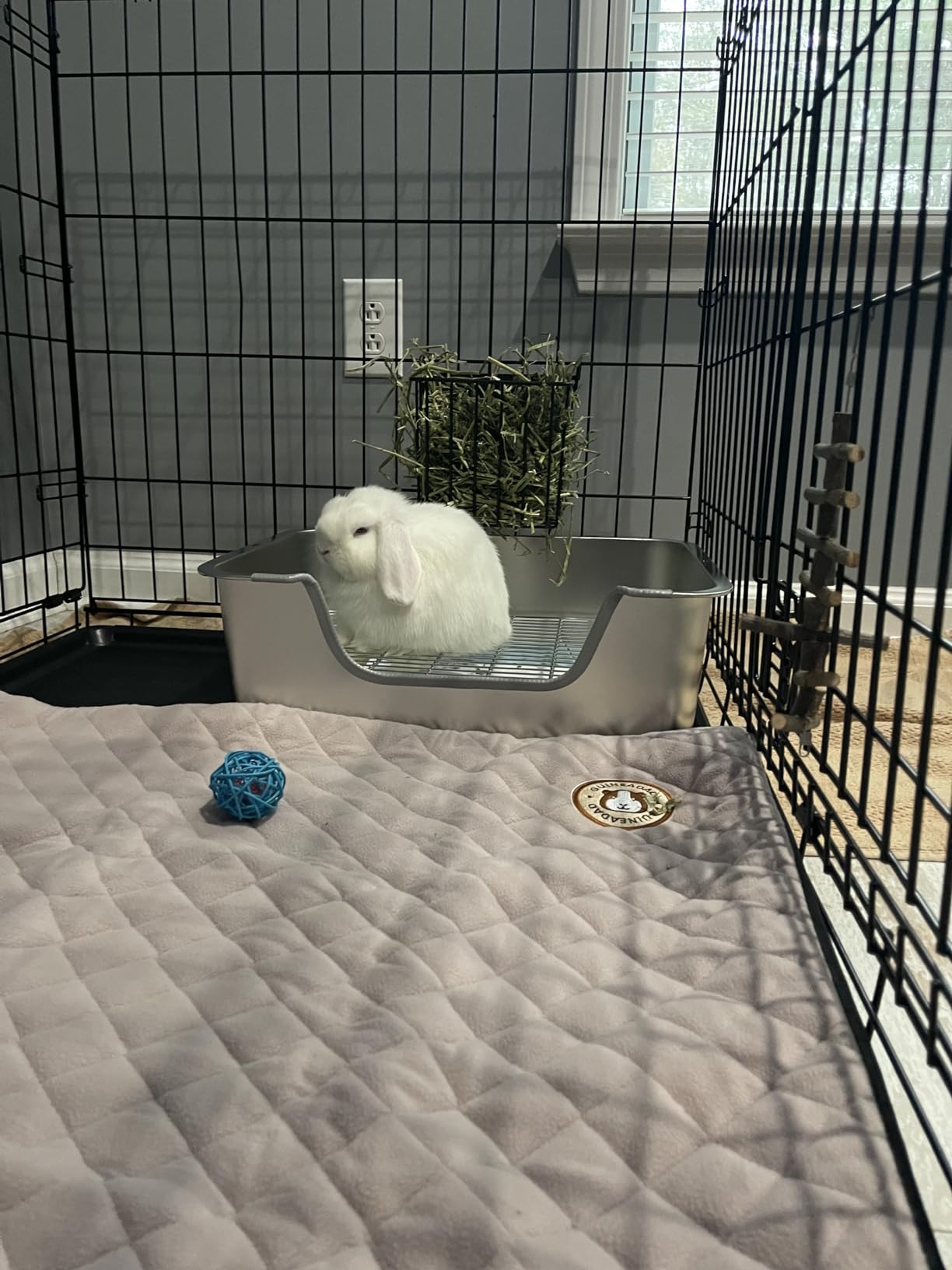 Stainless Steel Sifting Litter Box for Rabbit (M) customer photo 2