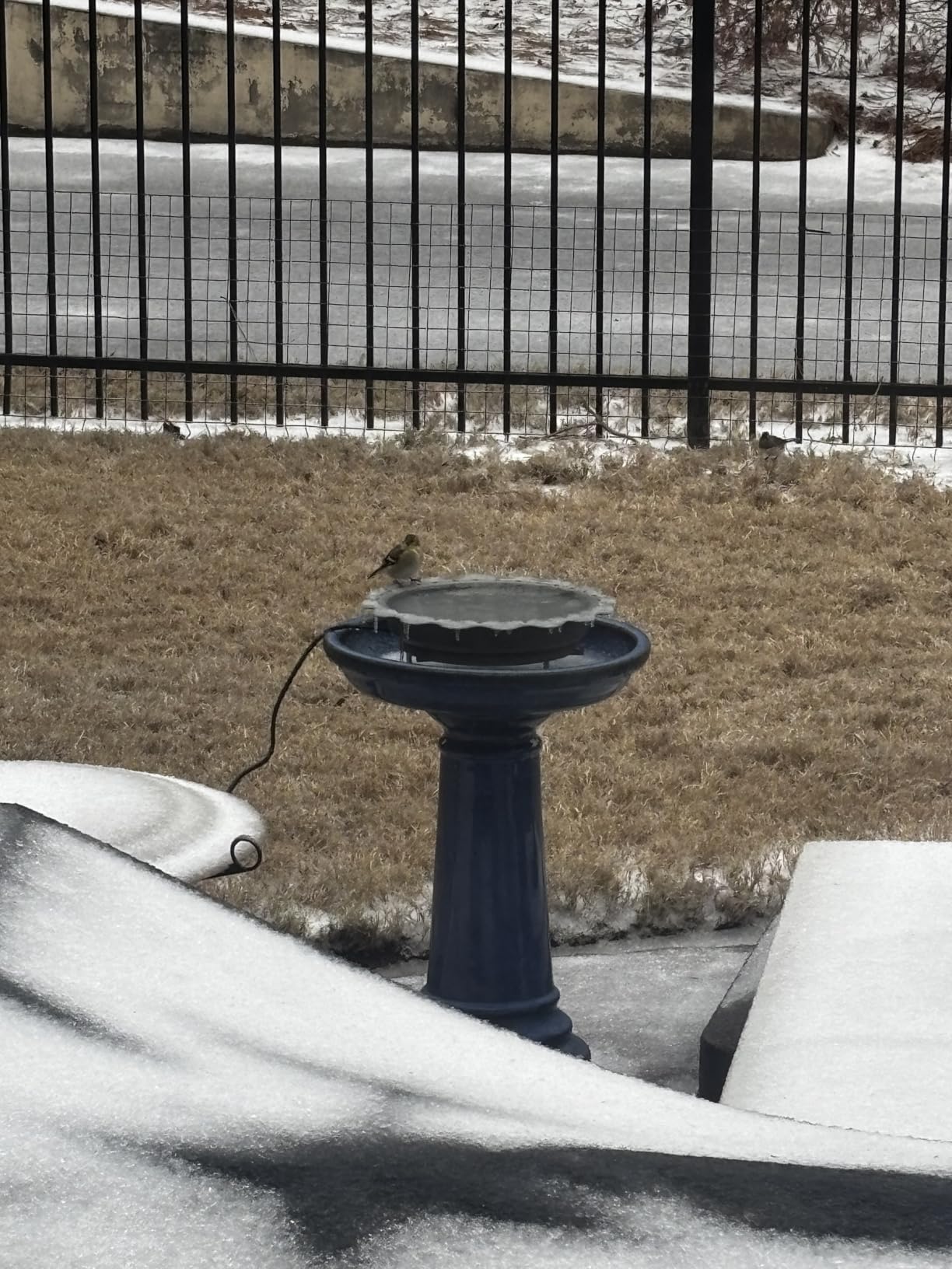 Heated Bird Bath for Outside Winter, Powerful 100W Thermostat Control Heated Bird Baths for Outdoors with 3 Metal Extension Screws, Heated Birdbath Water Heater for Garden Yard Patio Lawn(Grey) customer photo 2