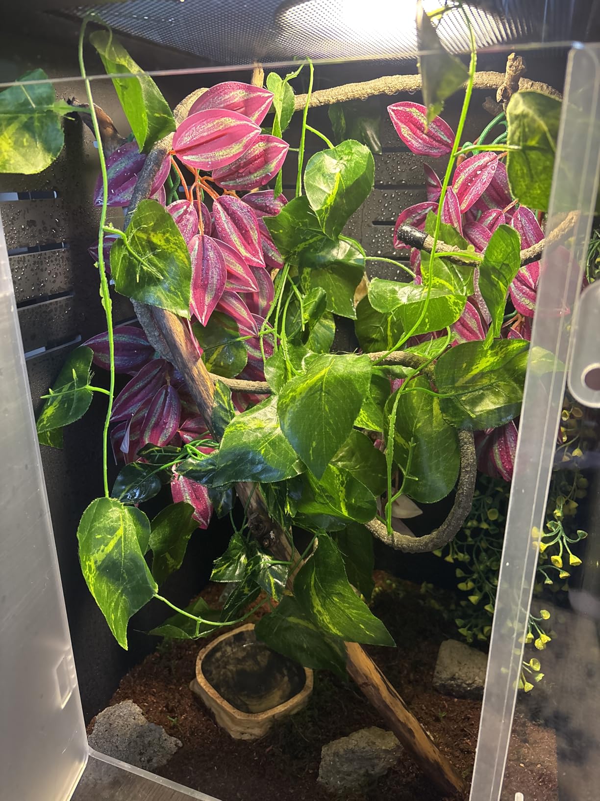 Reptile Tank 16x16x24 Terrarium - PVC Reptile Enclosure for Crested Gecko, Chameleon, Snake Habitat | Tree-Dwelling Cage & Snake Enclosure customer photo 1