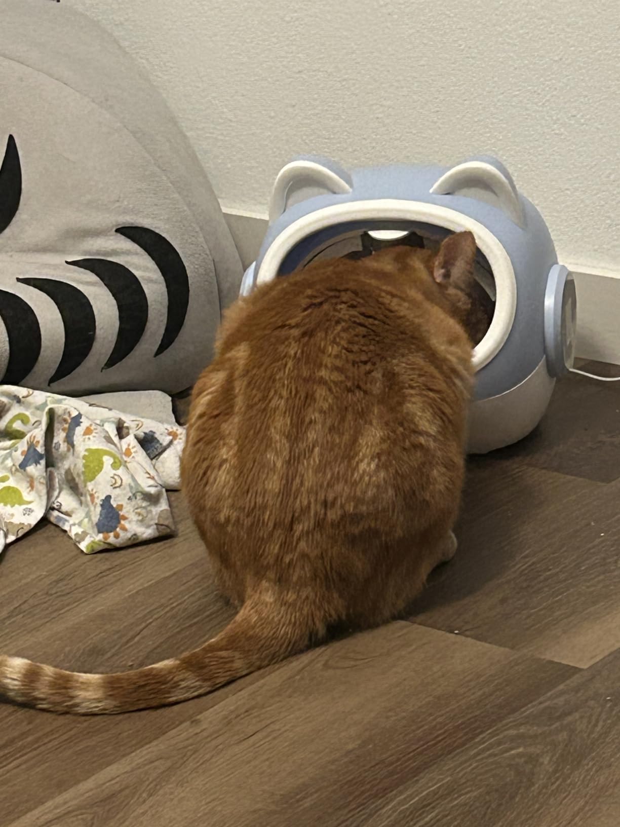 RFID Smart Pet Feeder with Dual Collar Tags - Automatic Food Bowl with Scheduled Feeding Times, LCD Display, Voice Recorder, Supports Wet & Dry Food for Multi-Pet Households customer photo 2
