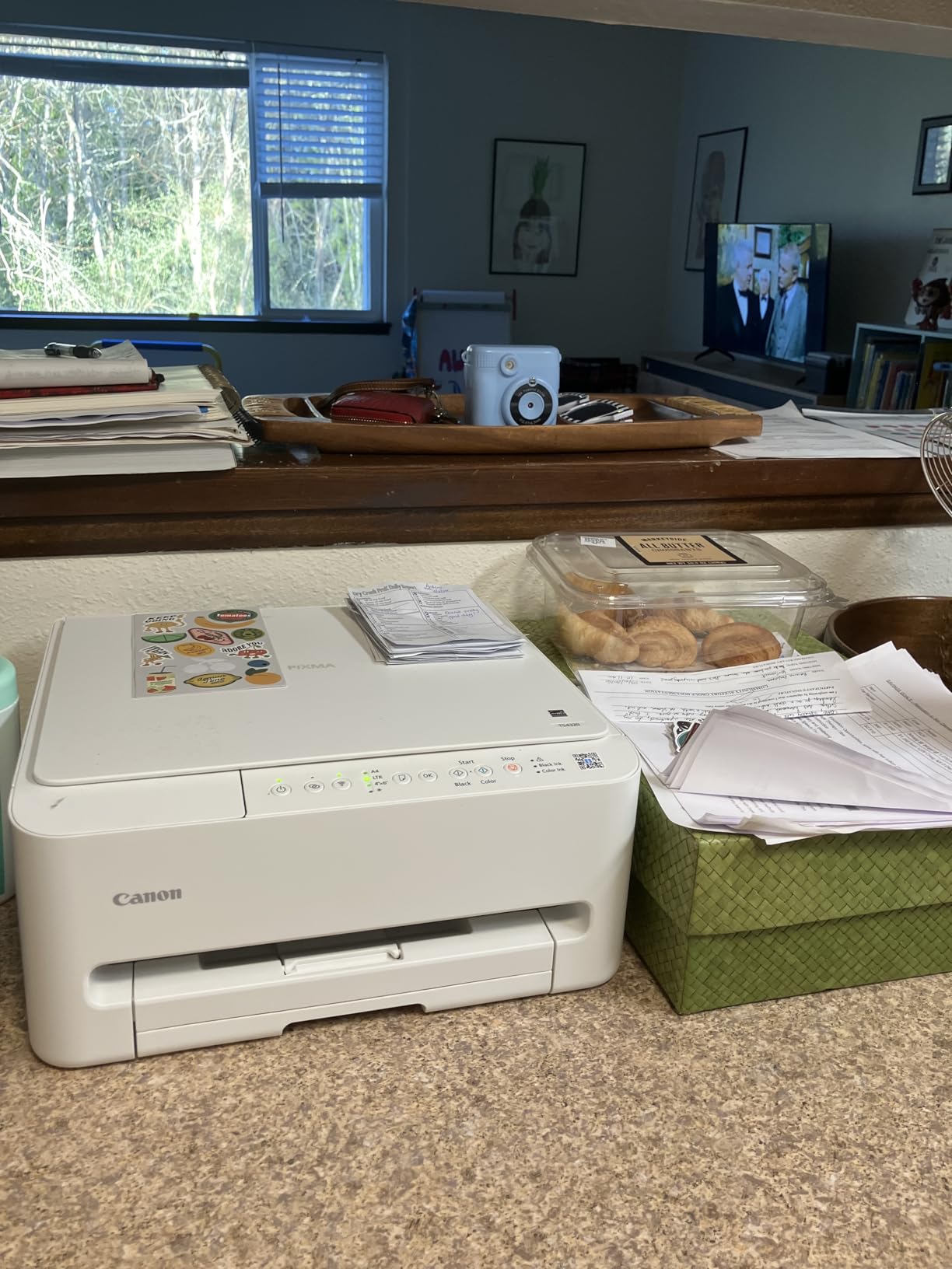 Canon PIXMA TS4320 Wireless Color Inkjet Printer for Duplex Printing, White customer photo 1