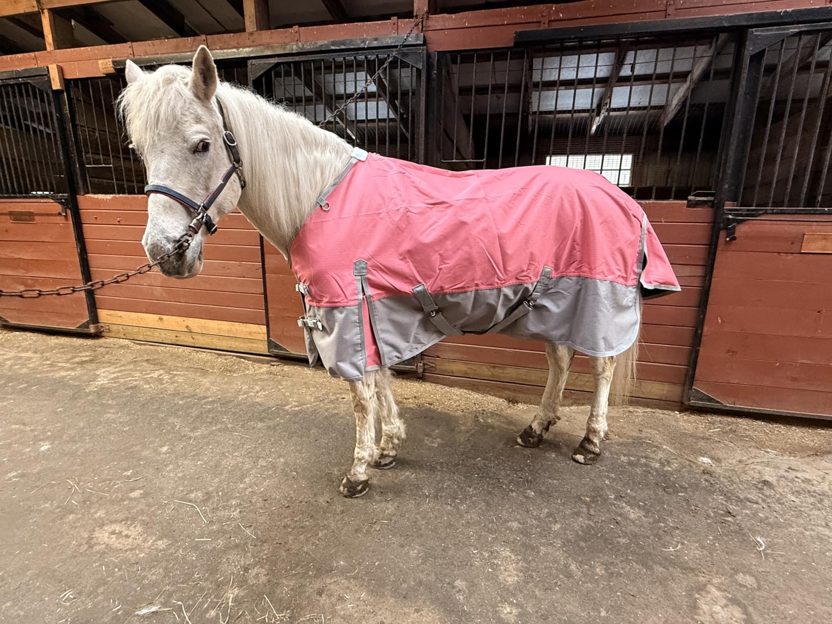 1200D Ripstop Waterproof Breathable Horse Blanket (200g Fill), Medium Weight Warm Winter Turnout, Thermal Protection for Cold & Snow Greenblack 75