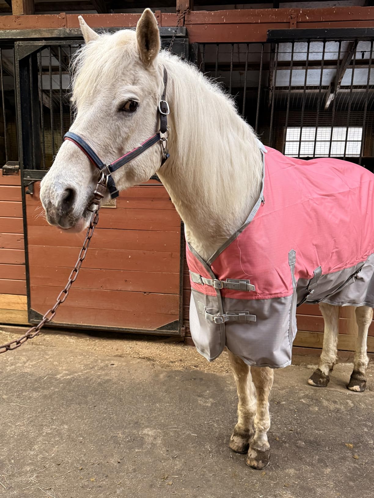 1200D Ripstop Waterproof Breathable Horse Blanket (200g Fill), Medium Weight Warm Winter Turnout, Thermal Protection for Cold & Snow Greenblack 75