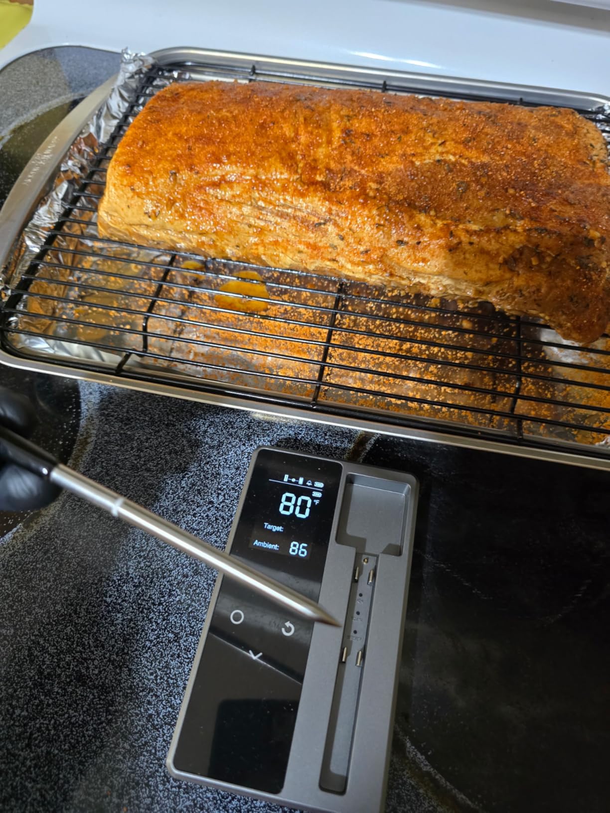 Smart Wireless Meat Thermometer with Ultra-Thin Probe, Digital Food Thermometer 0.5S Instant Read, 600FT Bluetooth Range Real-Time Monitoring & Smart Alerts for BBQ, Grill, Smoker, Oven, Air Fryer customer photo 1