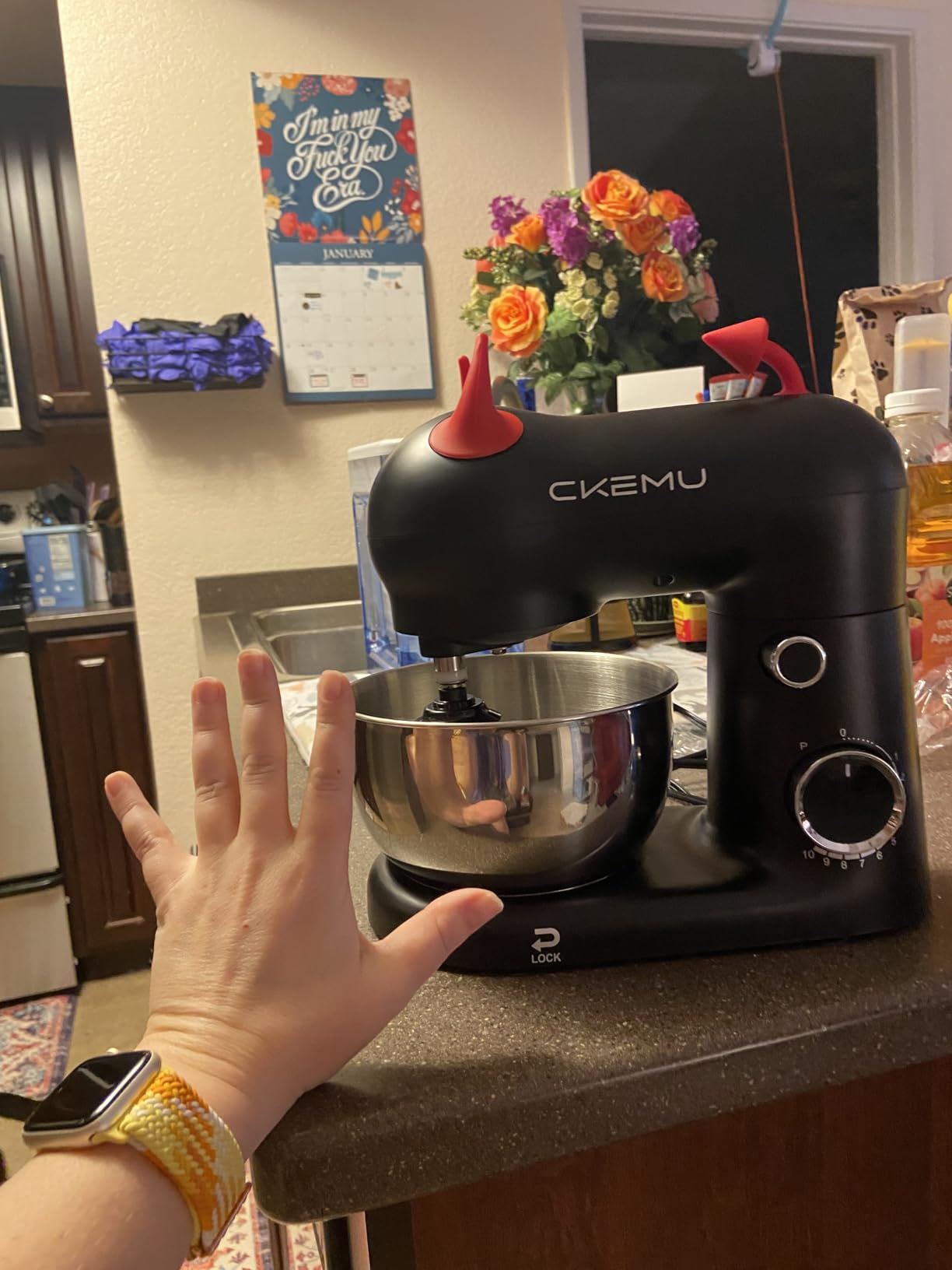Stand Mixer, Compact & Space-Saving, Stainless Steel Bowl, Unique & Playful Design, Efficient Motor, Dishwasher-Safe Attachments, SM-2549A (Panda) customer photo 1