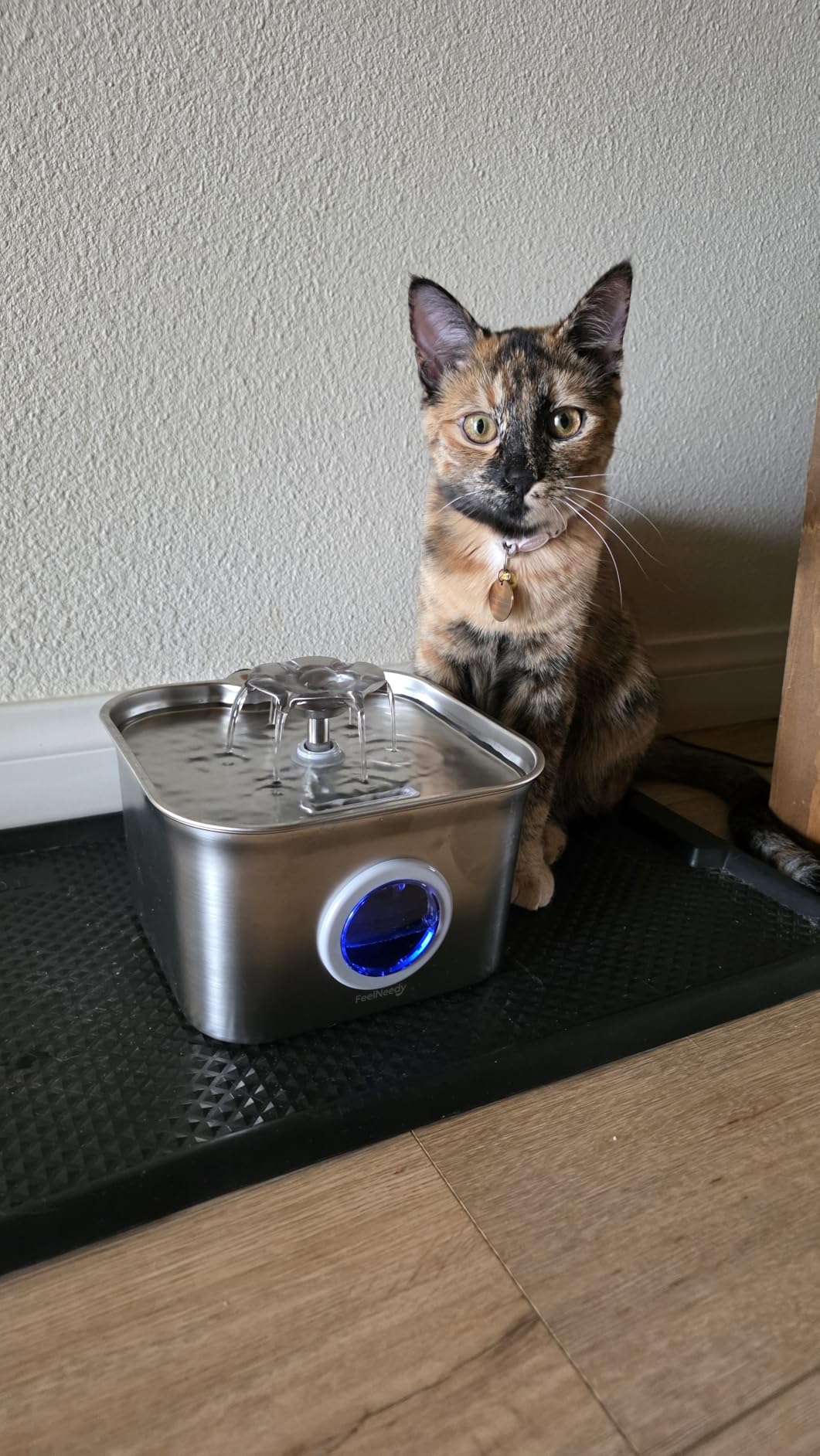 Stainless Steel Cat Water Fountain, 2.8L with 20dB Ultra-Quiet Pump- Ideal for Timid Pets, LED Water Level Window, Dishwasher Safe, 24/7 Circulation- Includes 6 Replacement Filters customer photo 2