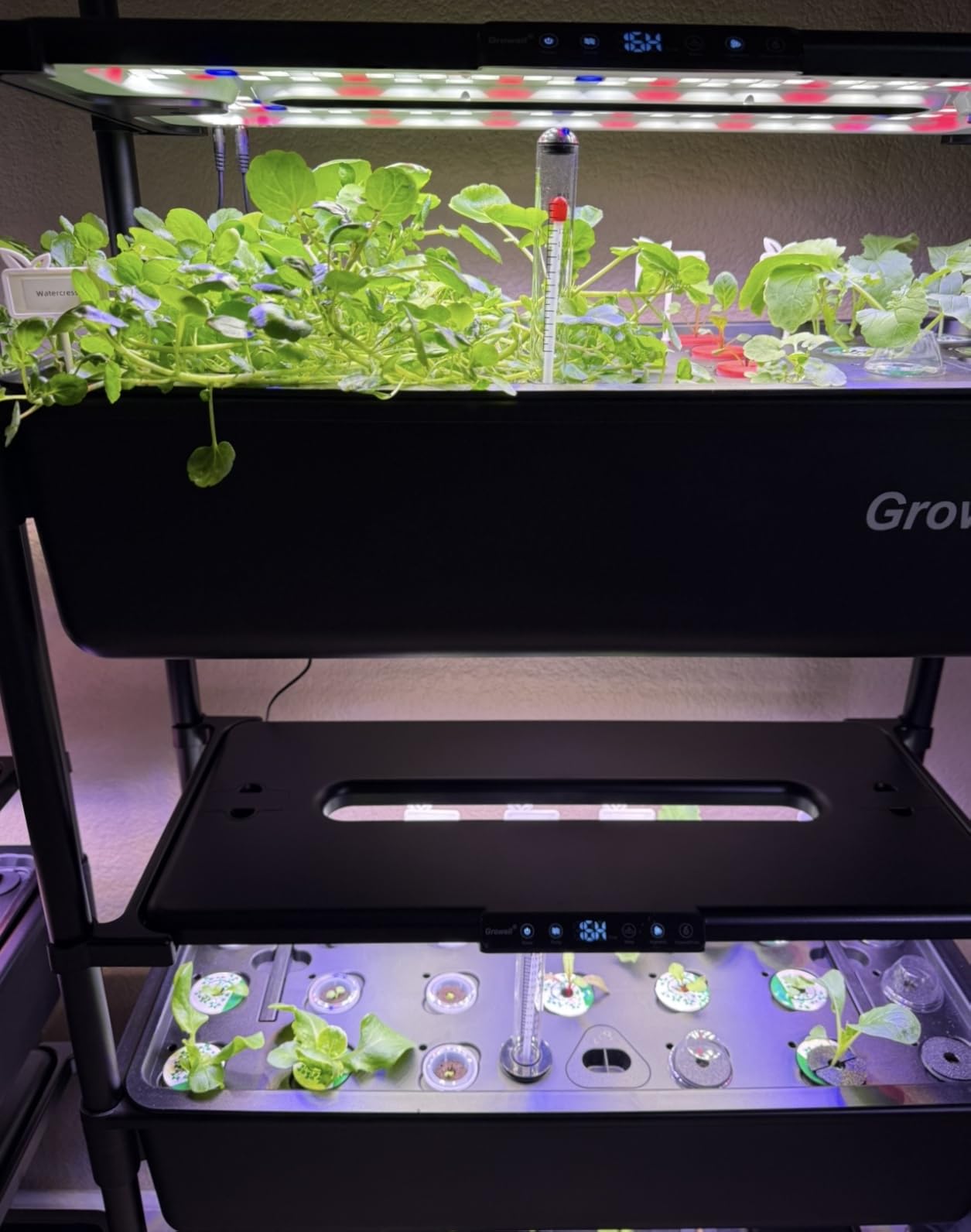 Large Hydroponics Growing System Kit, Vertical Indoor Herb Garden Kit with LED Grow Light & Independent Water Pump, 28L Movable Indoor Planter - 2 Tier-54 Pods Black customer photo 2