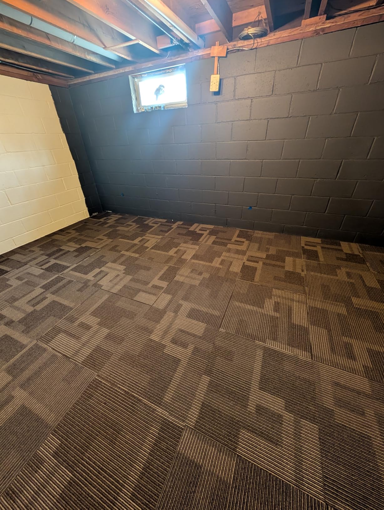 VEVOR Carpet Tiles Reusable 24x24 inch, 24 PCS Modular Carpet Square Rug, Commercial Floor Soft Padded for Seamless Cover 96sq.ft, Easy DIY Replacement for Living Room Bedroom Office Indoor,Gray customer photo 1