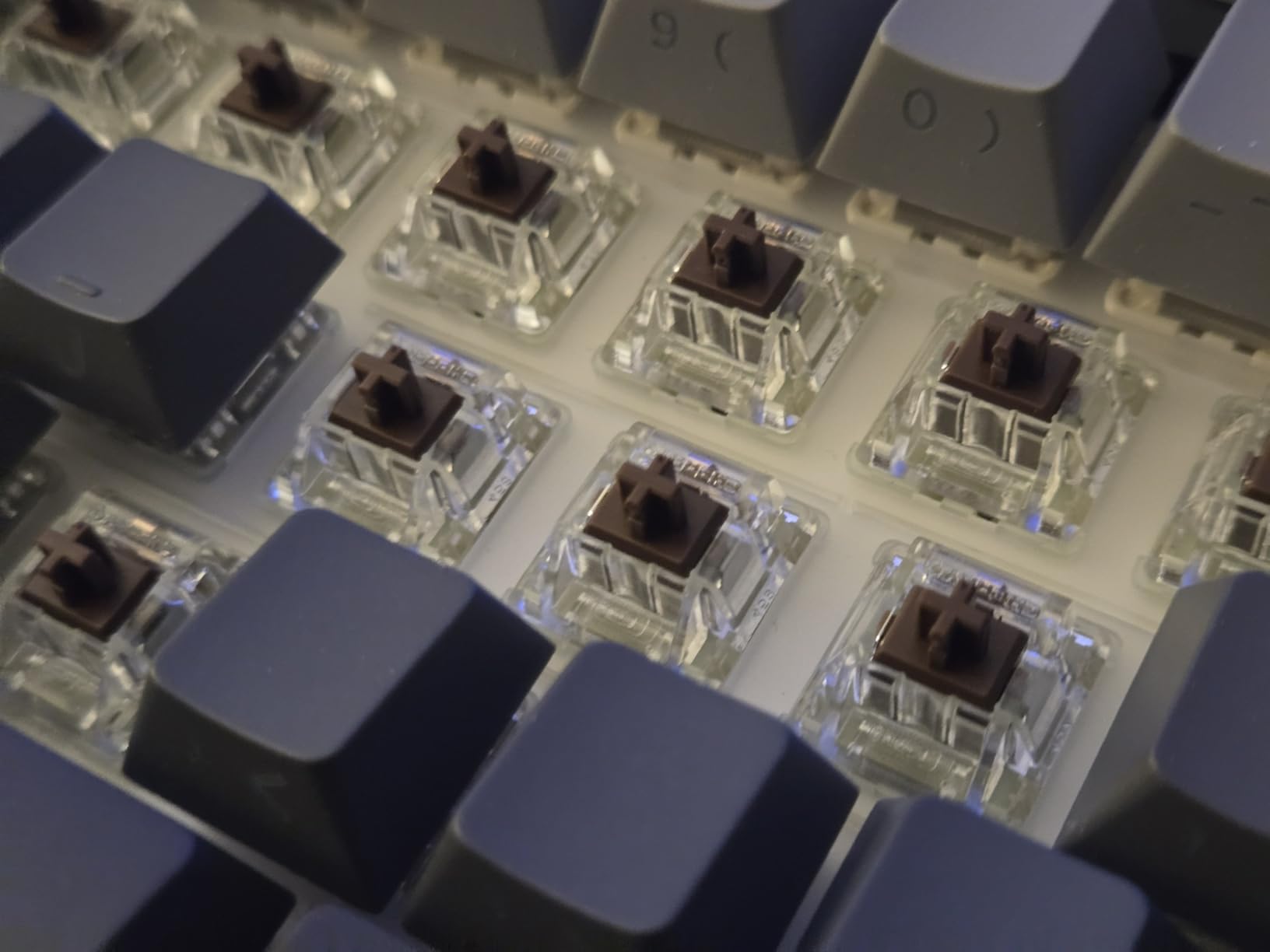 Cherry MX RGB Switch Kit | 36 pc Mechanical Keyboard Switches | DIY, Hot Swap or Gaming Keyboard (MX2A Brown) customer photo 2