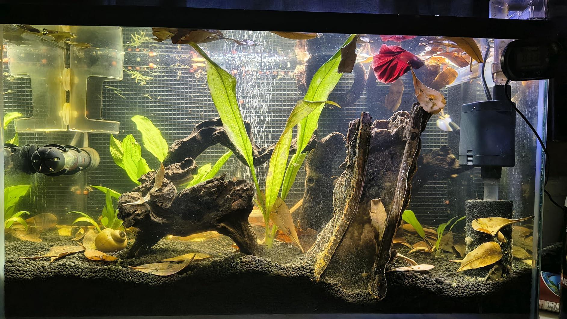 FZONE Aquarium Soil for Planted Tanks- Nutrient-Rich Aquarium Substrate for Fresh Water Live Plants, Dust-Free, Shrimp & Fish Safe，Long-Lasting pH Stable (3mm, 8L/17.64 lb, Black) customer photo 1
