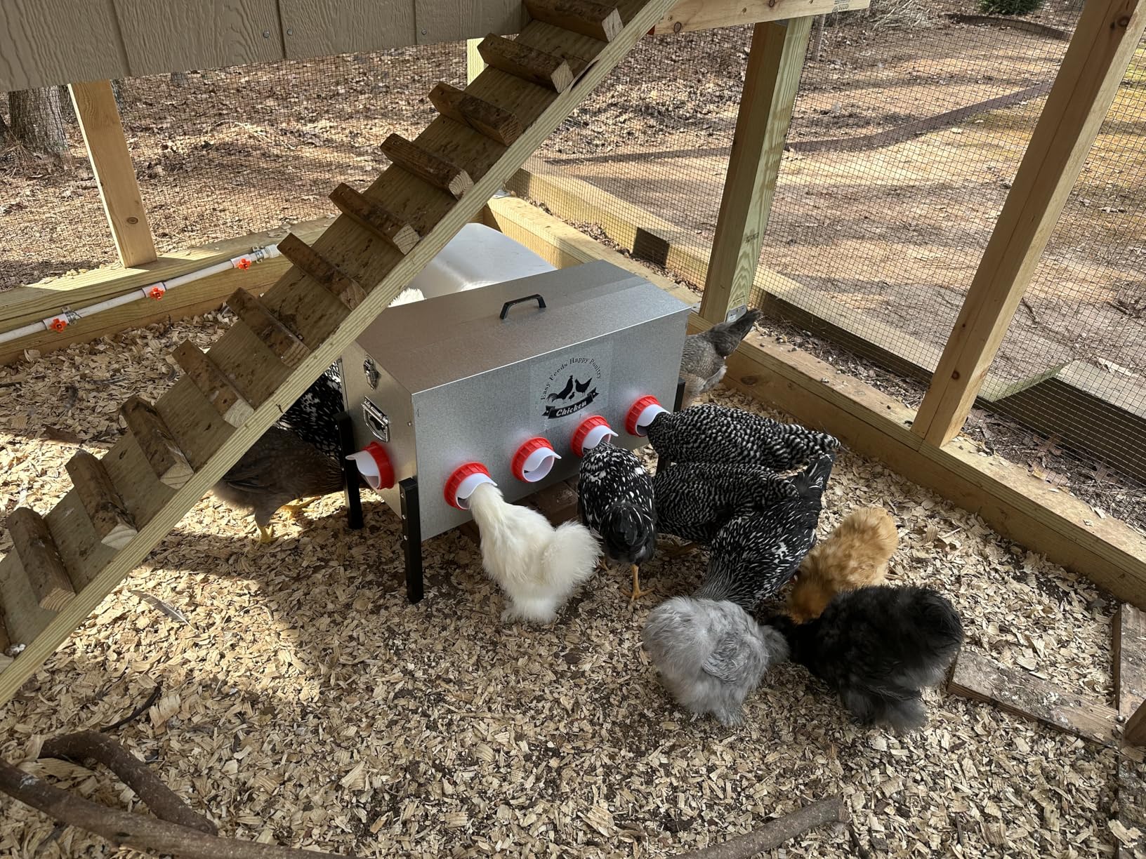 10gal 55LB Large Automatic Chicken Feeder with Window - 8 Port No Waste Design, Rust-proof Alloy Steel with Locking Lid & Adjustable Legs, Rodent Proof, Waterproof Silo for Hens, Ducks, Geese, Poultry customer photo 1